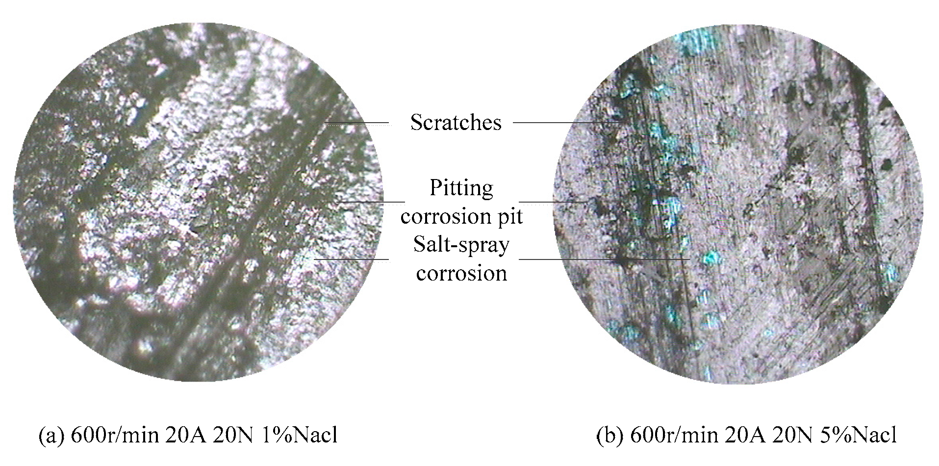 Preprints 174125 g006