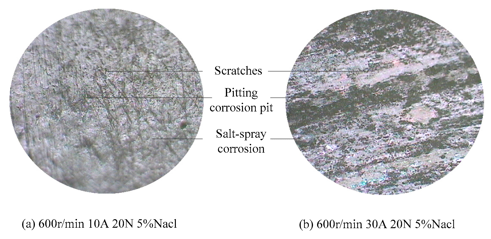 Preprints 174125 g008