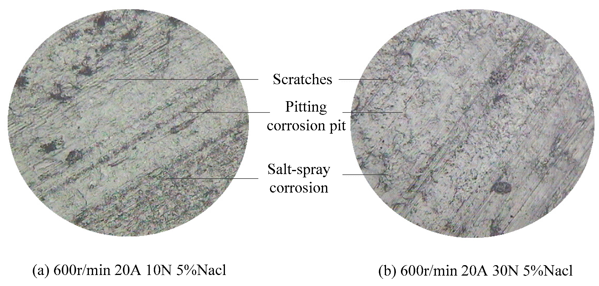 Preprints 174125 g009