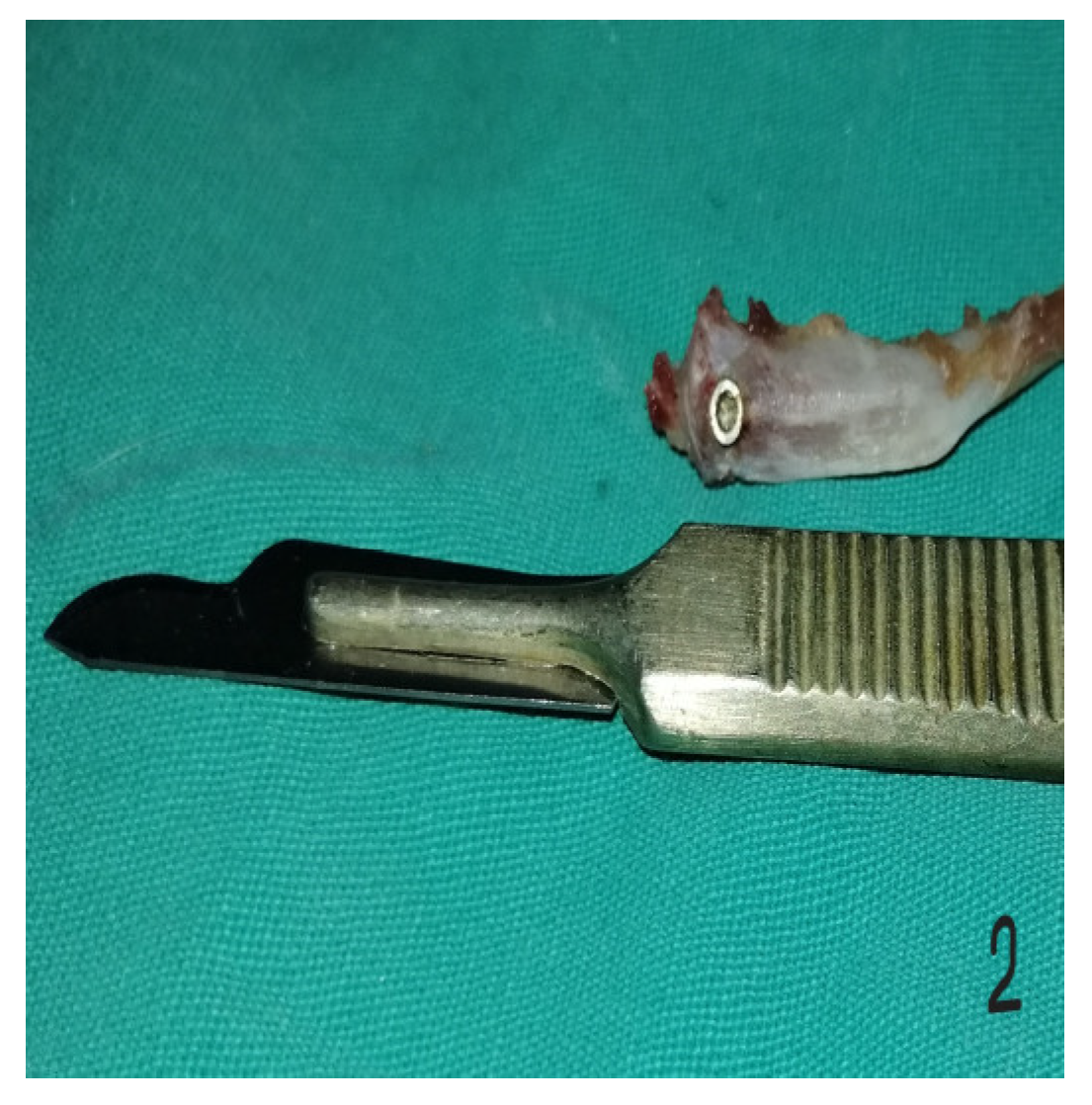 Preprints 143050 g002