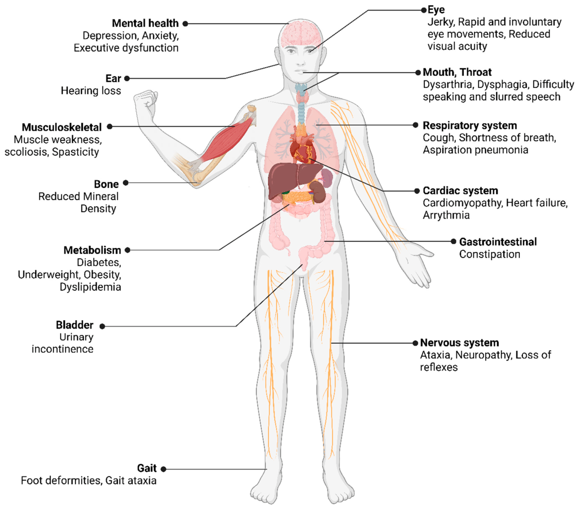 Preprints 208481 g002