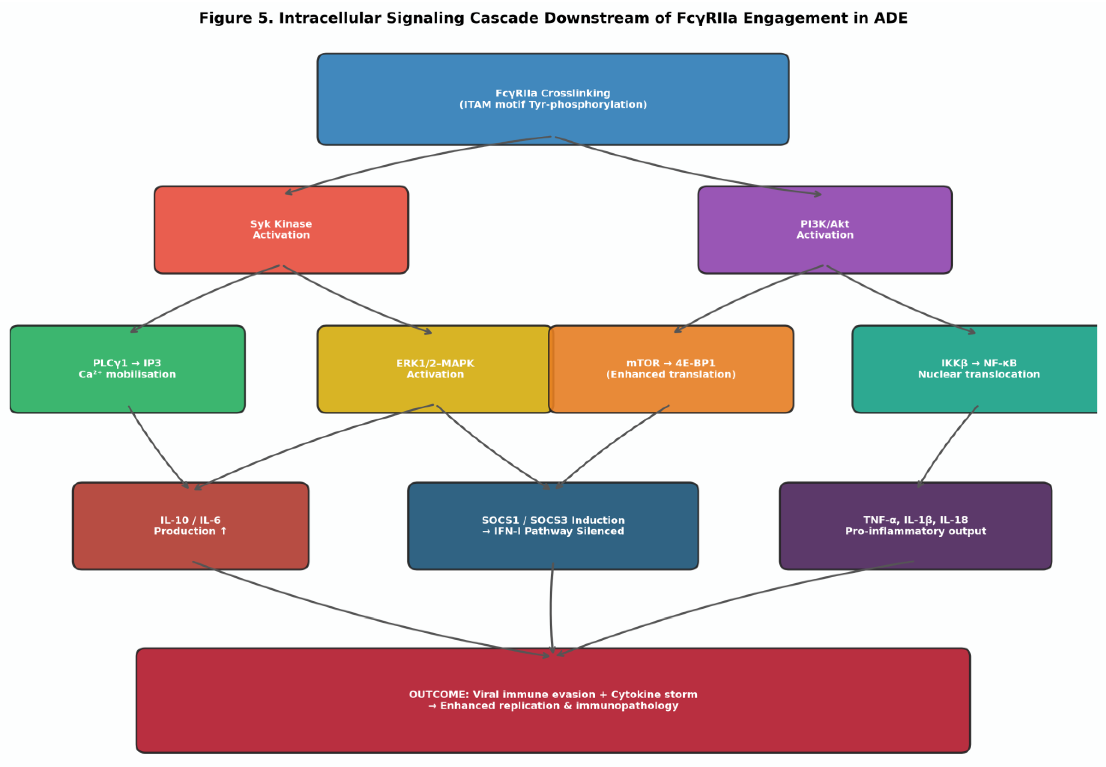 Preprints 203153 g005 Preprints 203153 g005