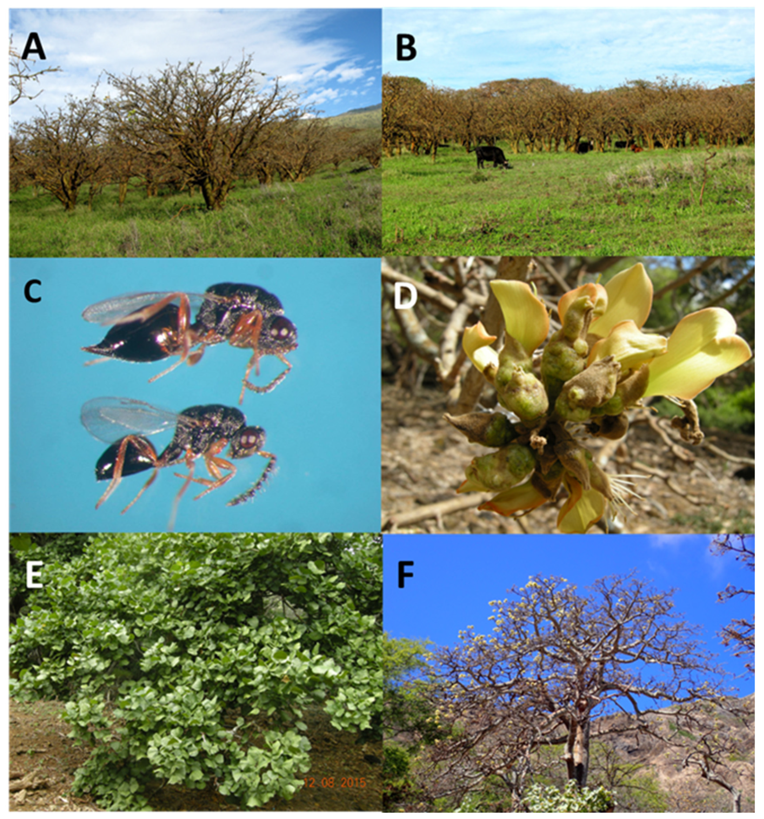 Preprints 89561 g005