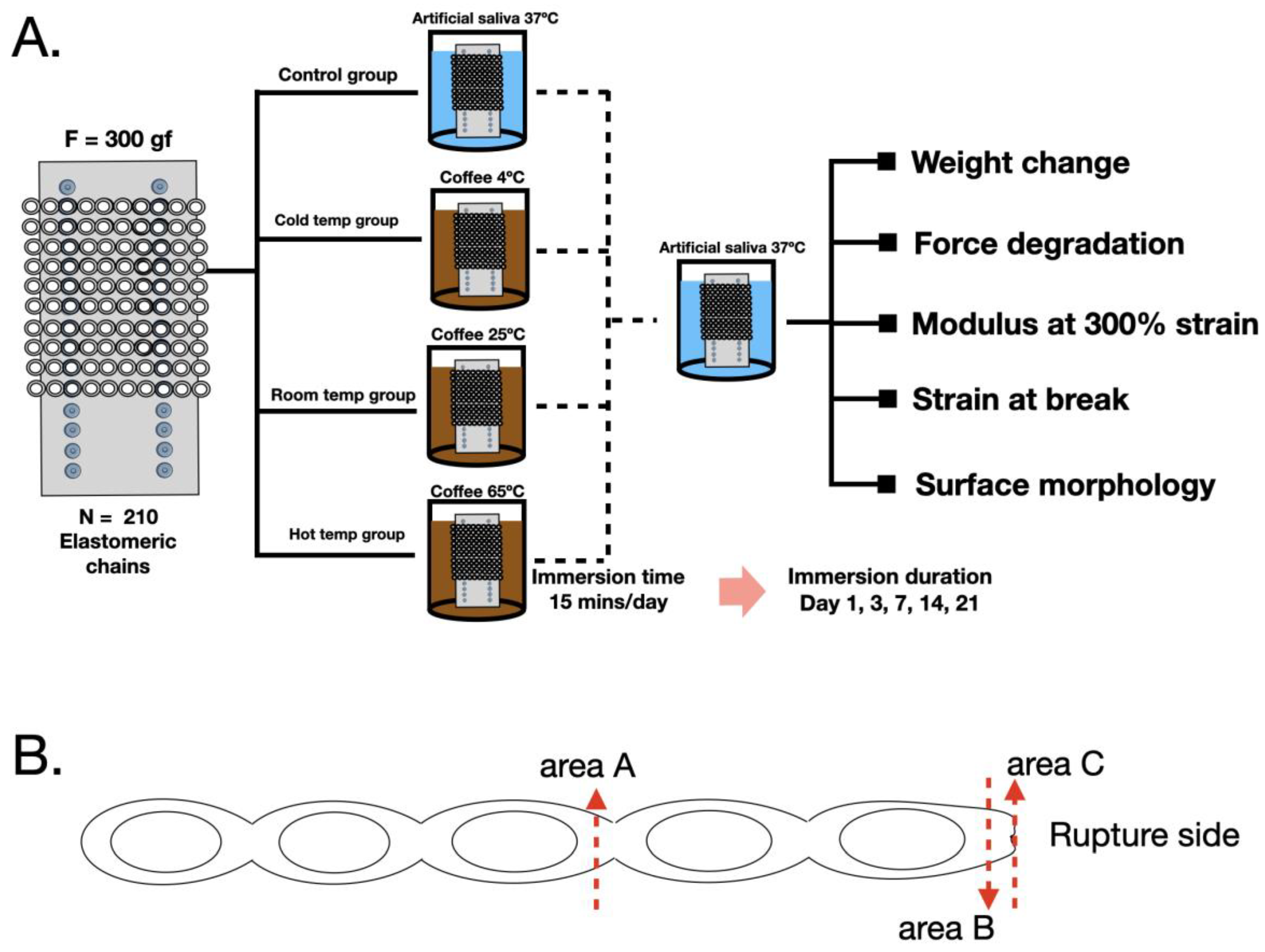 Preprints 233251 g001