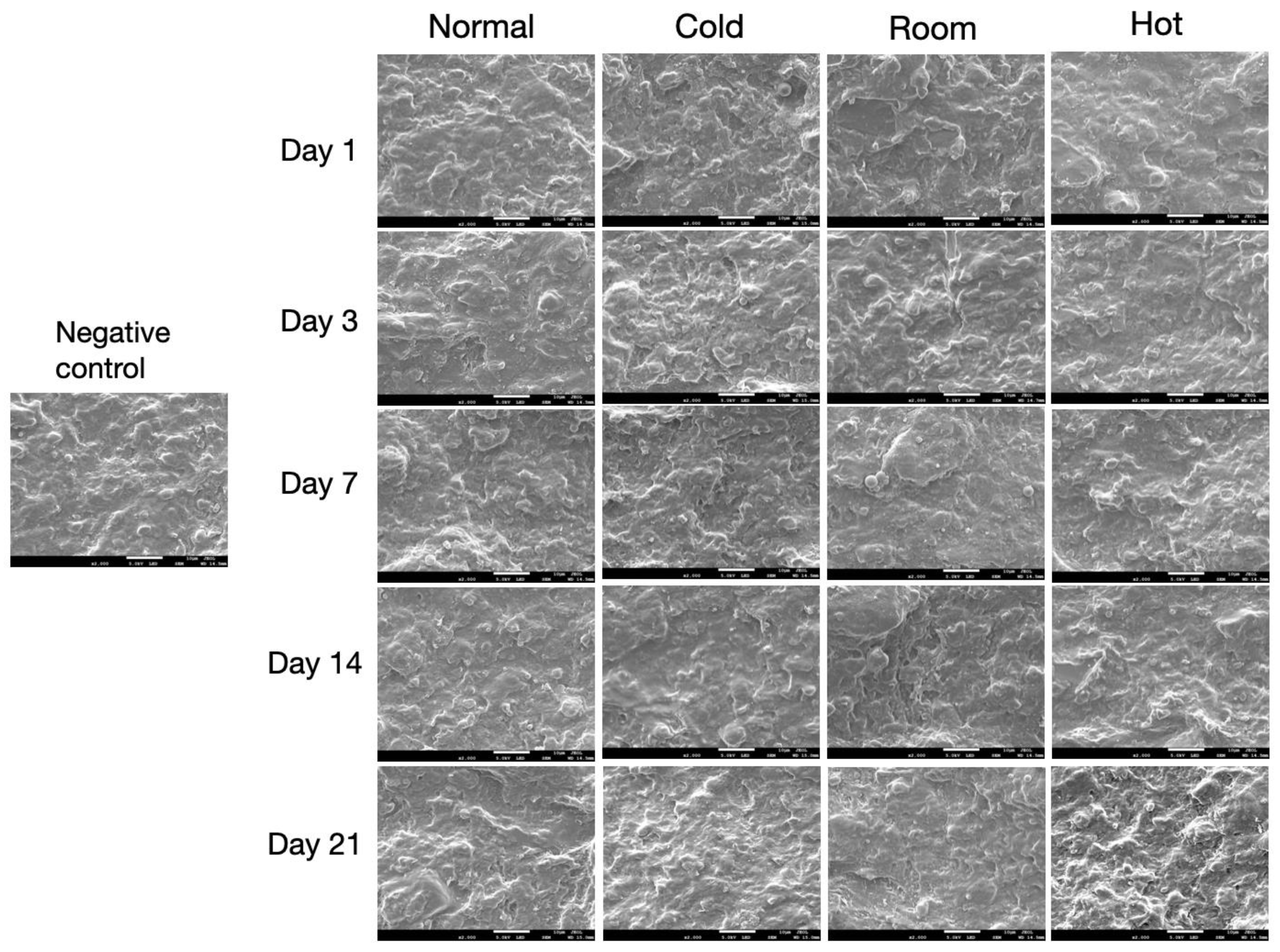 Preprints 233251 g003