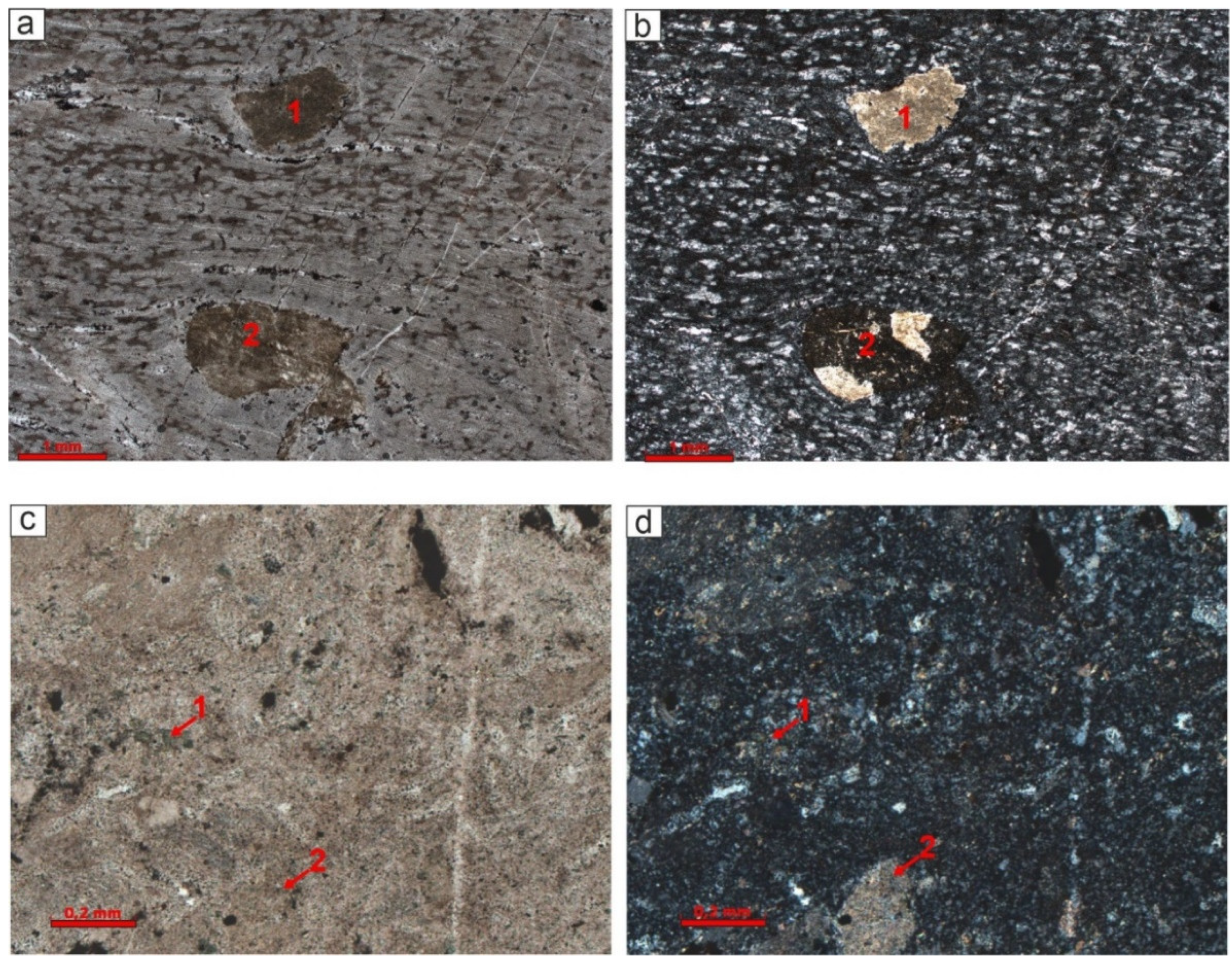 Preprints 150622 g002