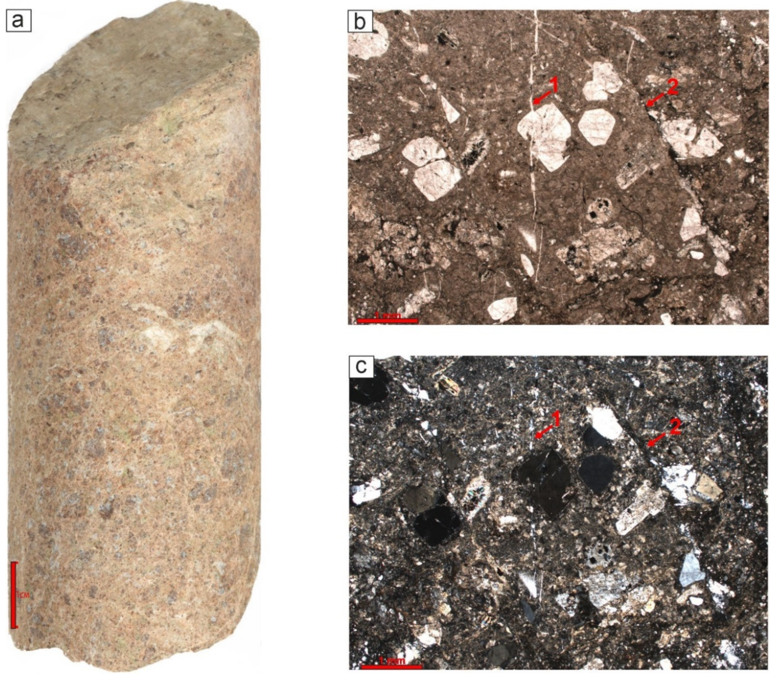 Preprints 150622 g003