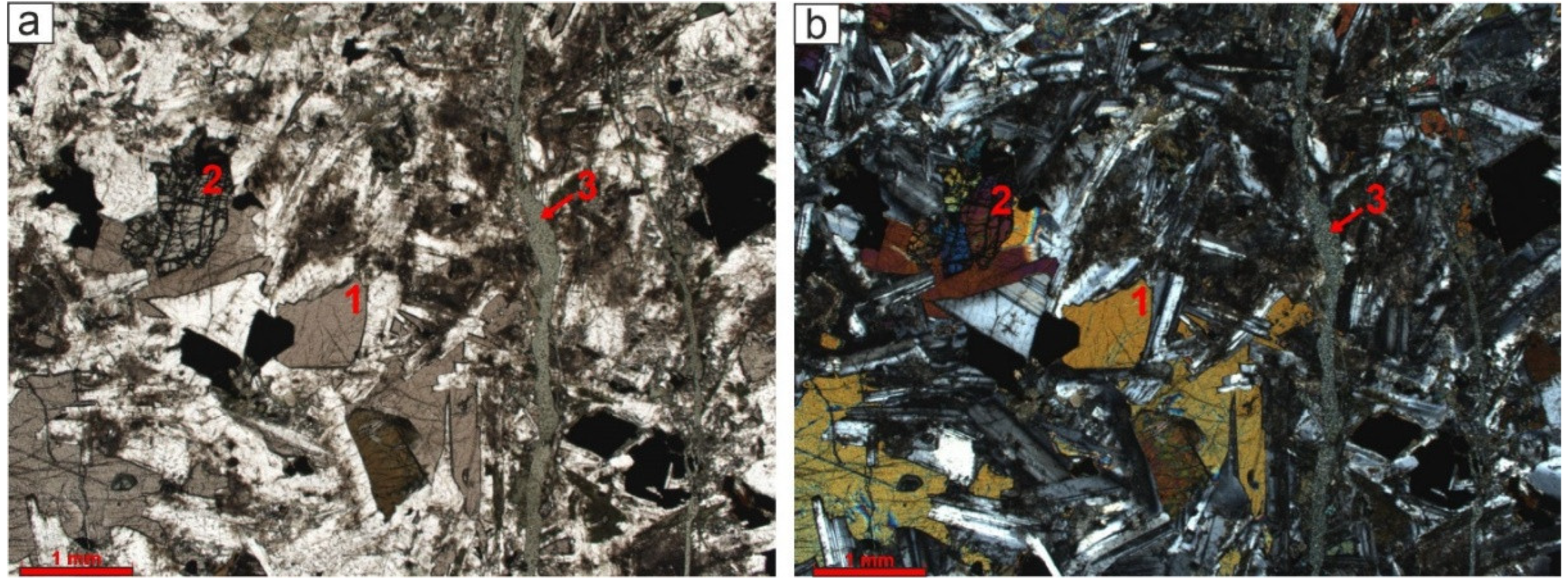 Preprints 150622 g004