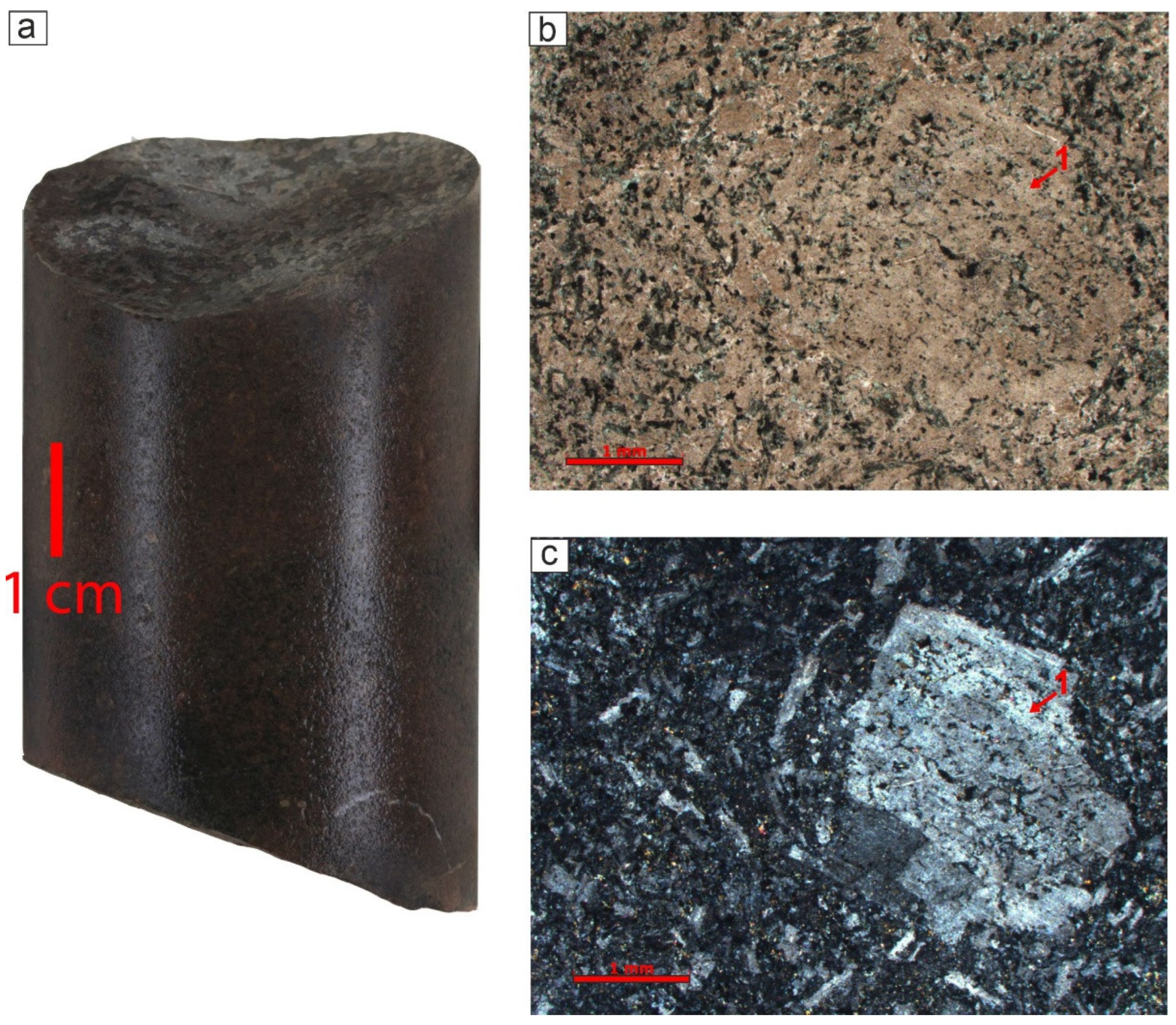 Preprints 150622 g005