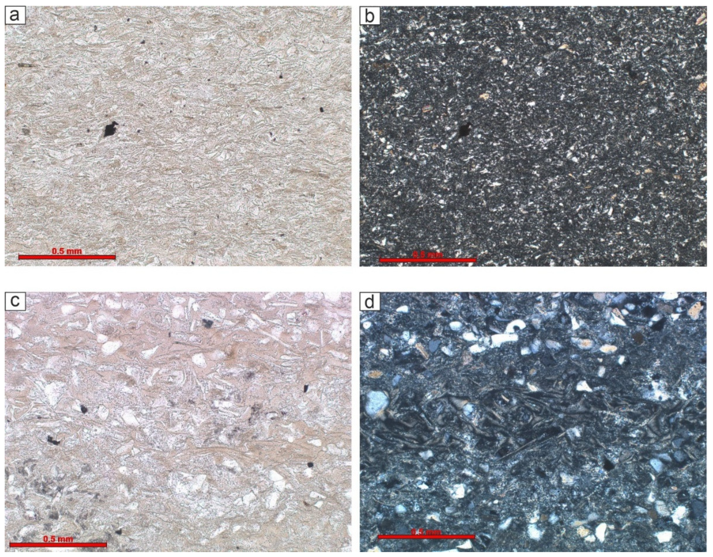 Preprints 150622 g006