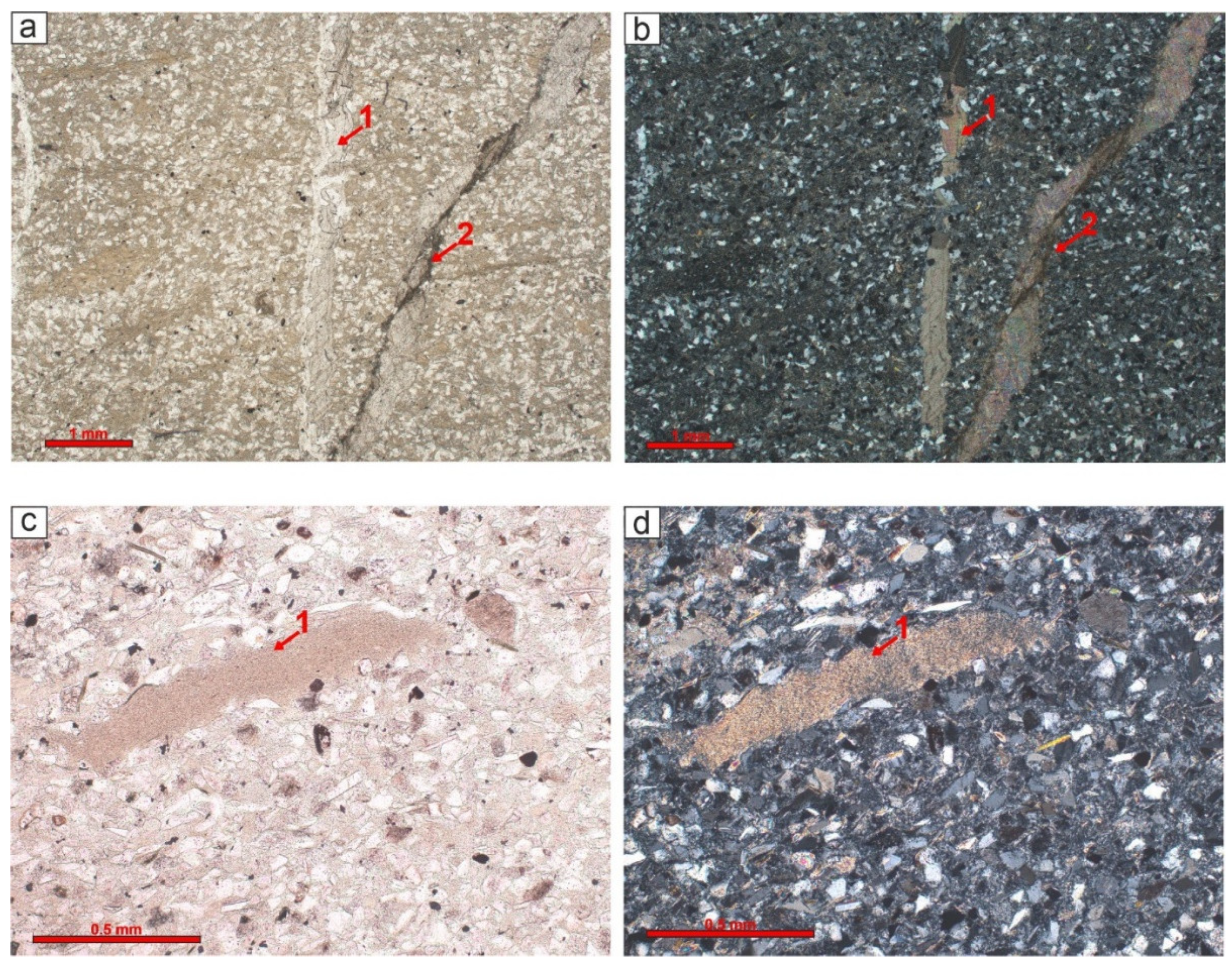 Preprints 150622 g007