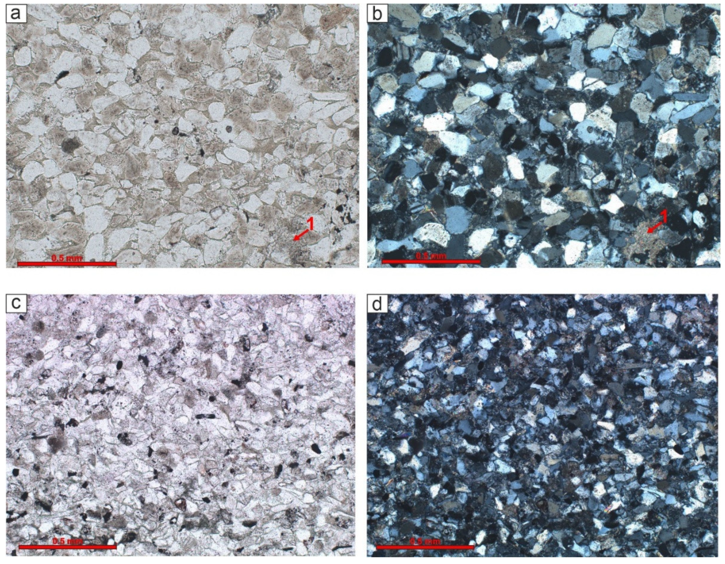 Preprints 150622 g008