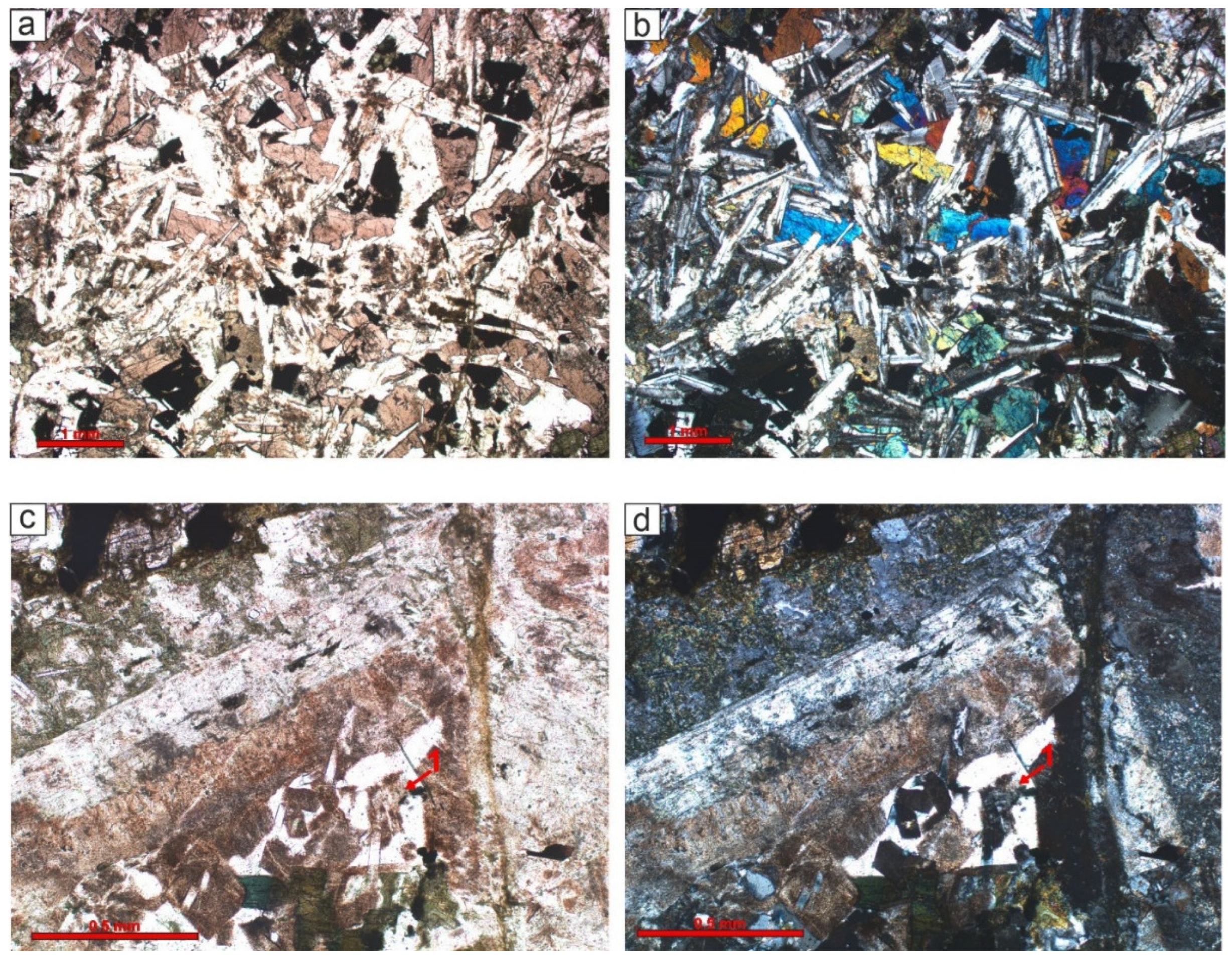 Preprints 150622 g009