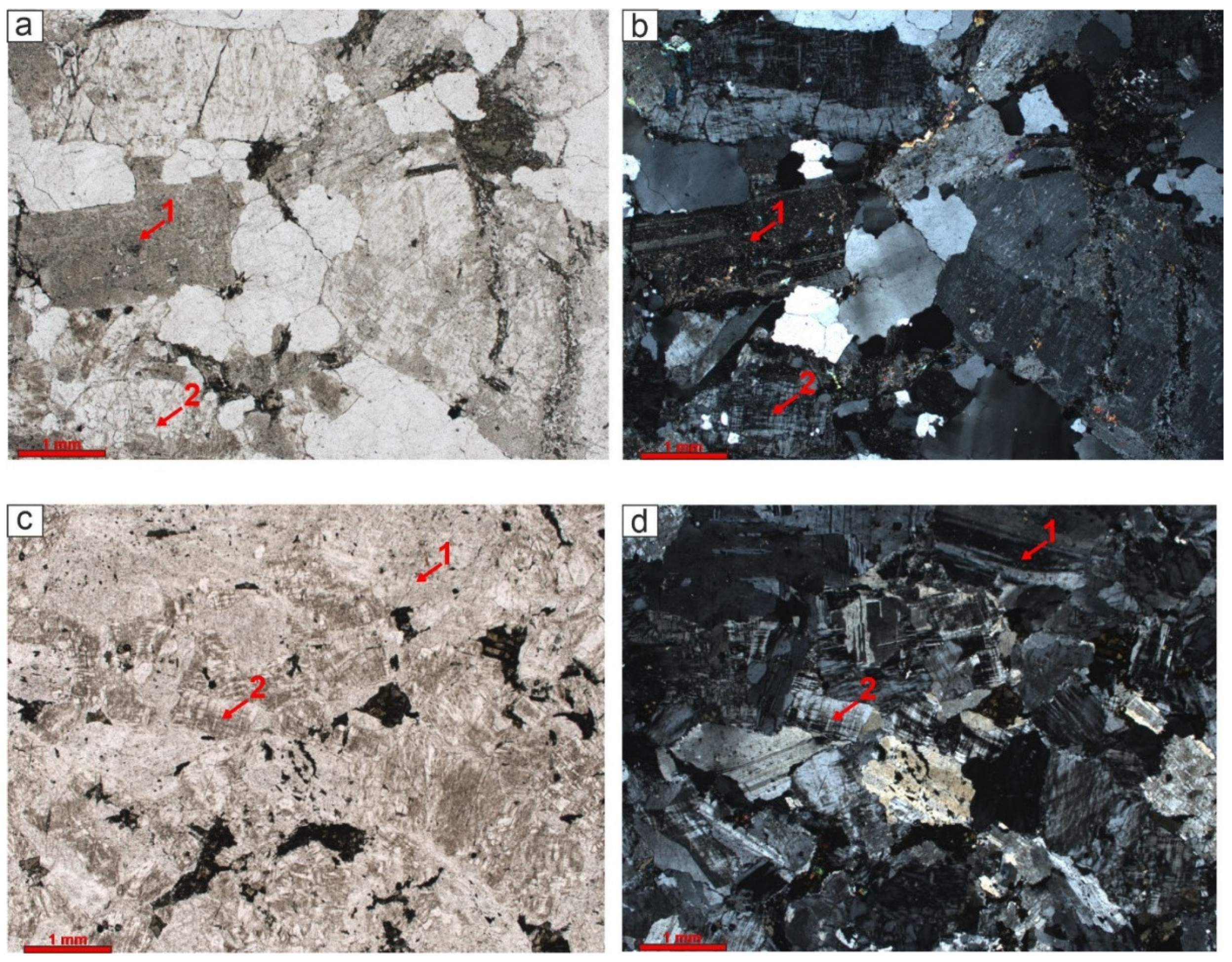Preprints 150622 g010