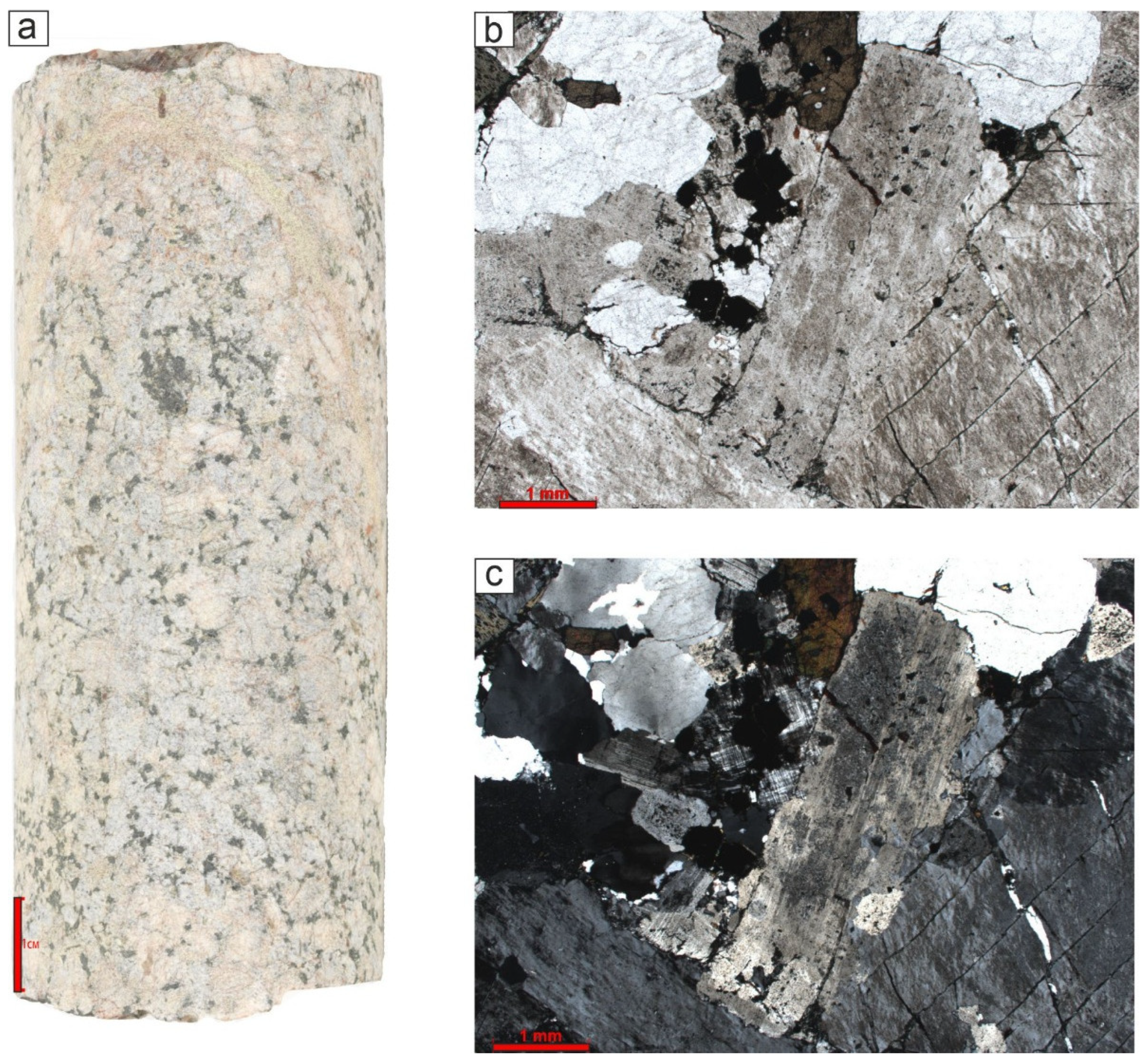 Preprints 150622 g011