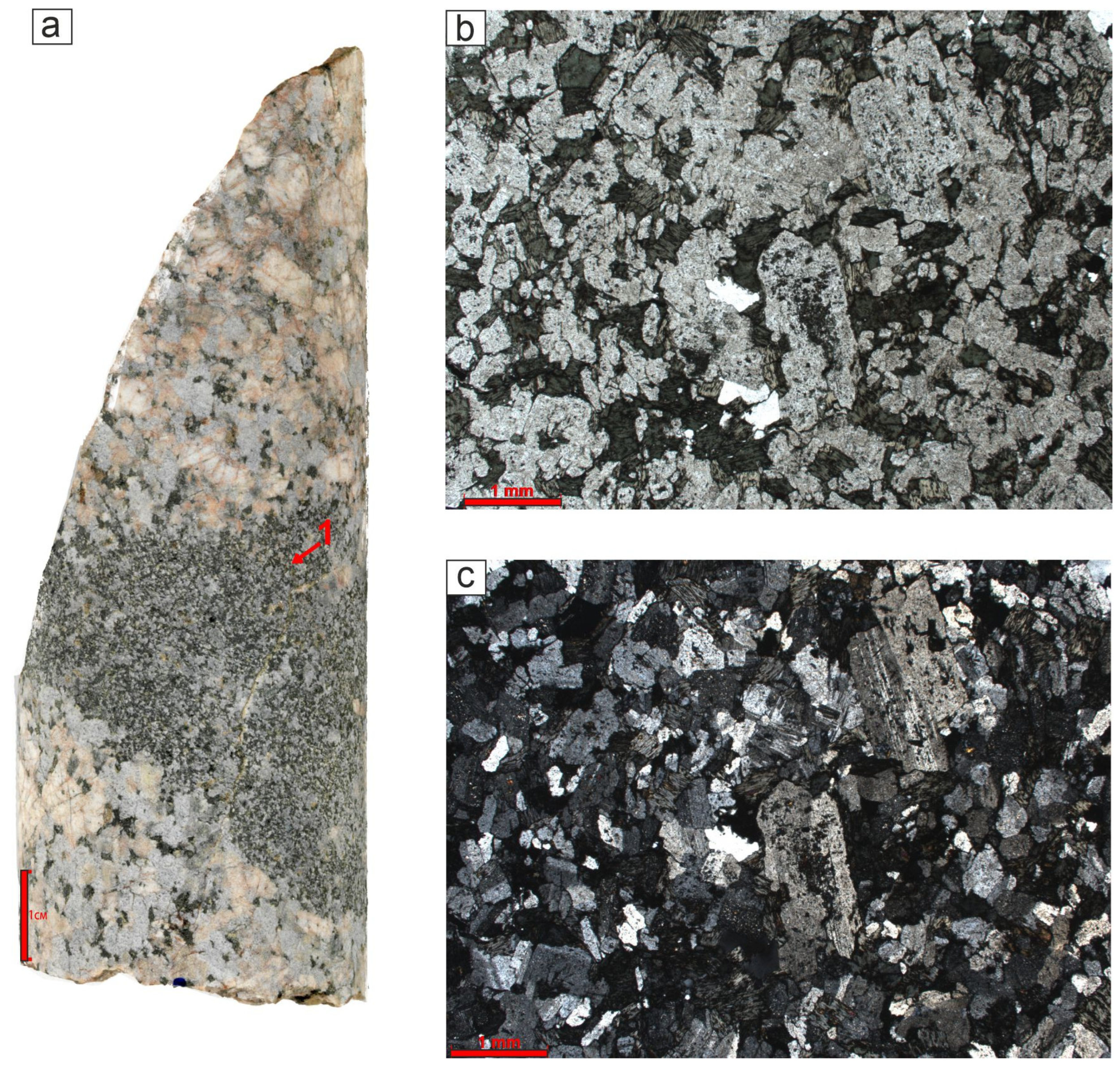 Preprints 150622 g013