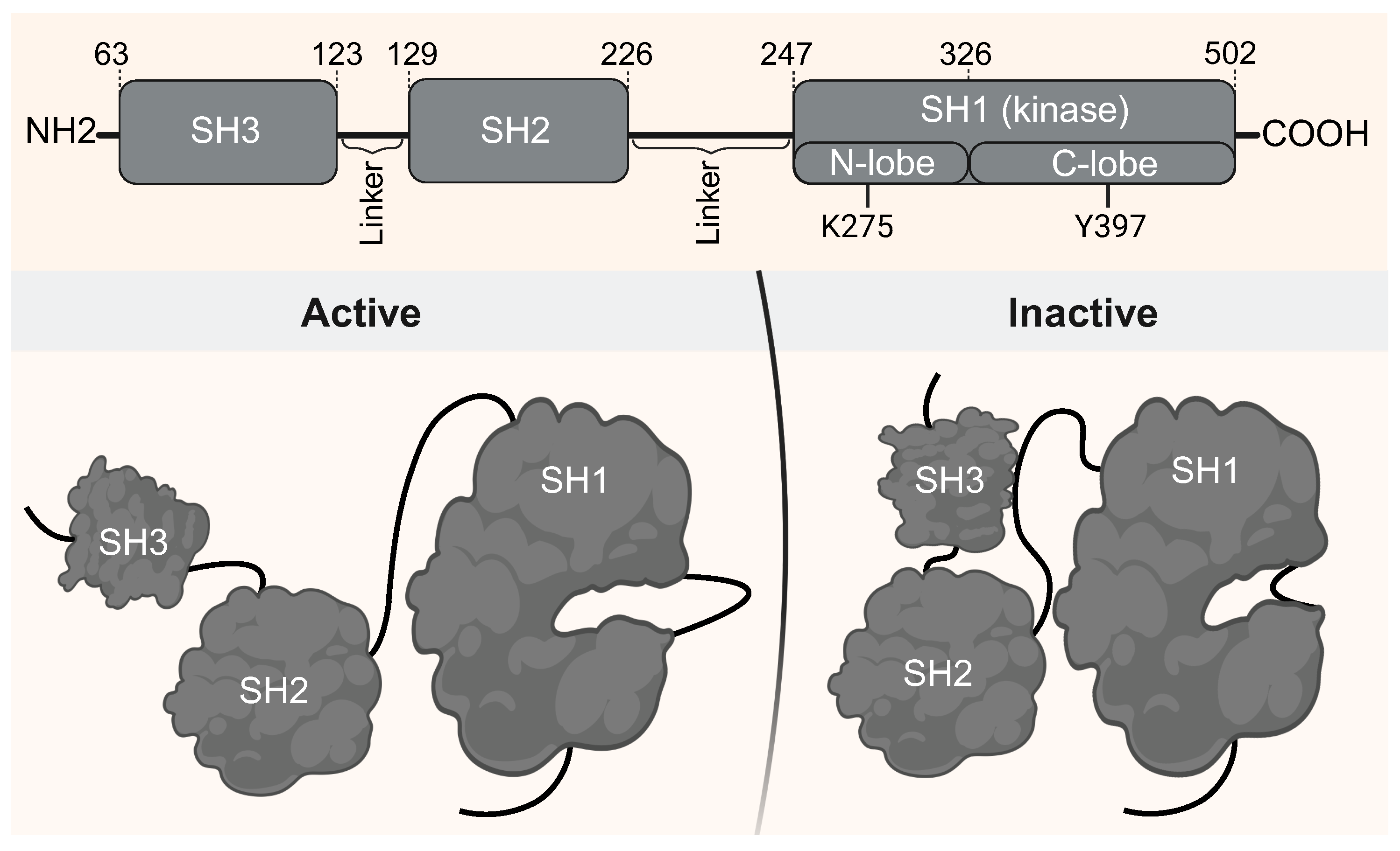 Preprints 161146 g001
