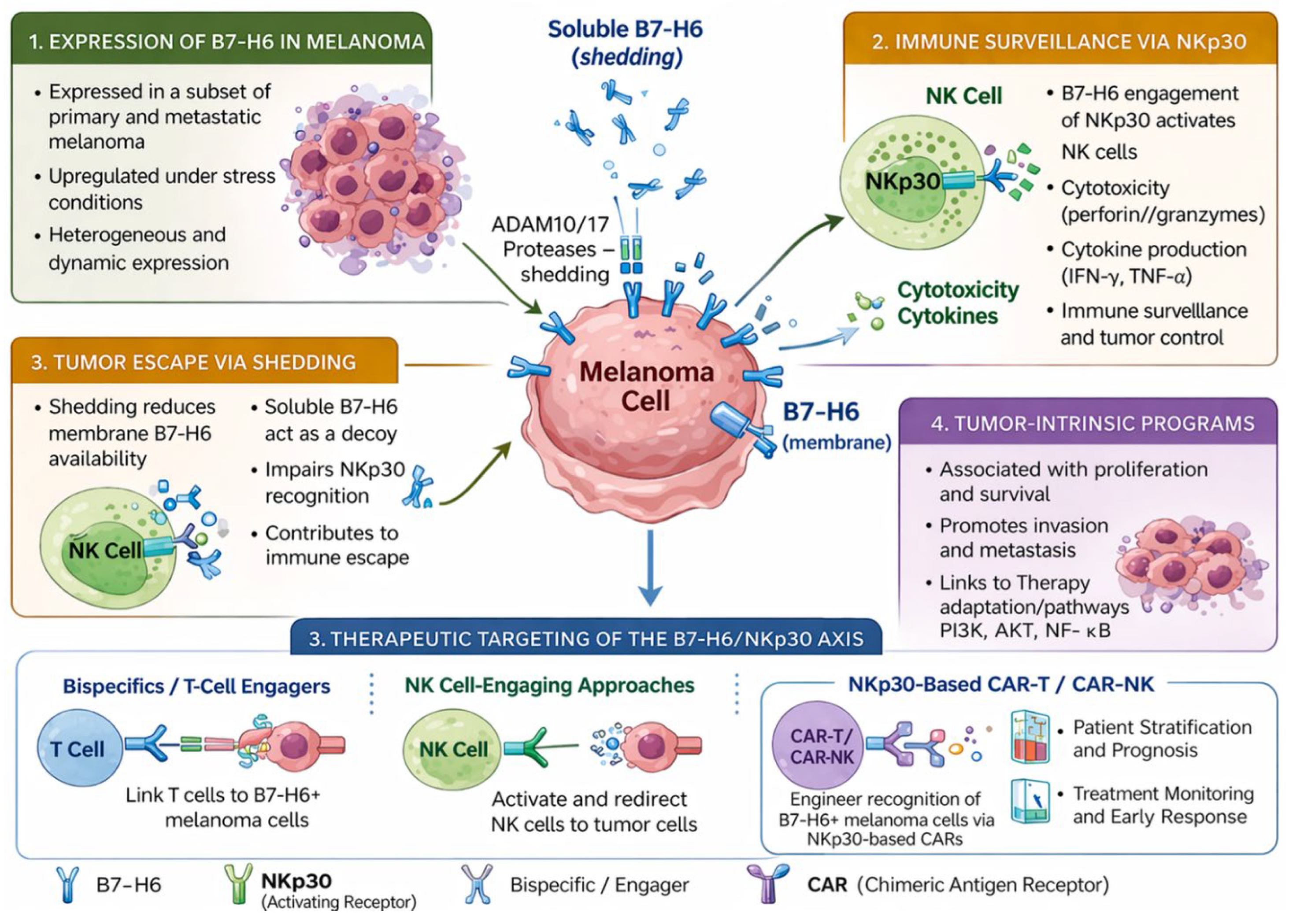 Preprints 210951 g001