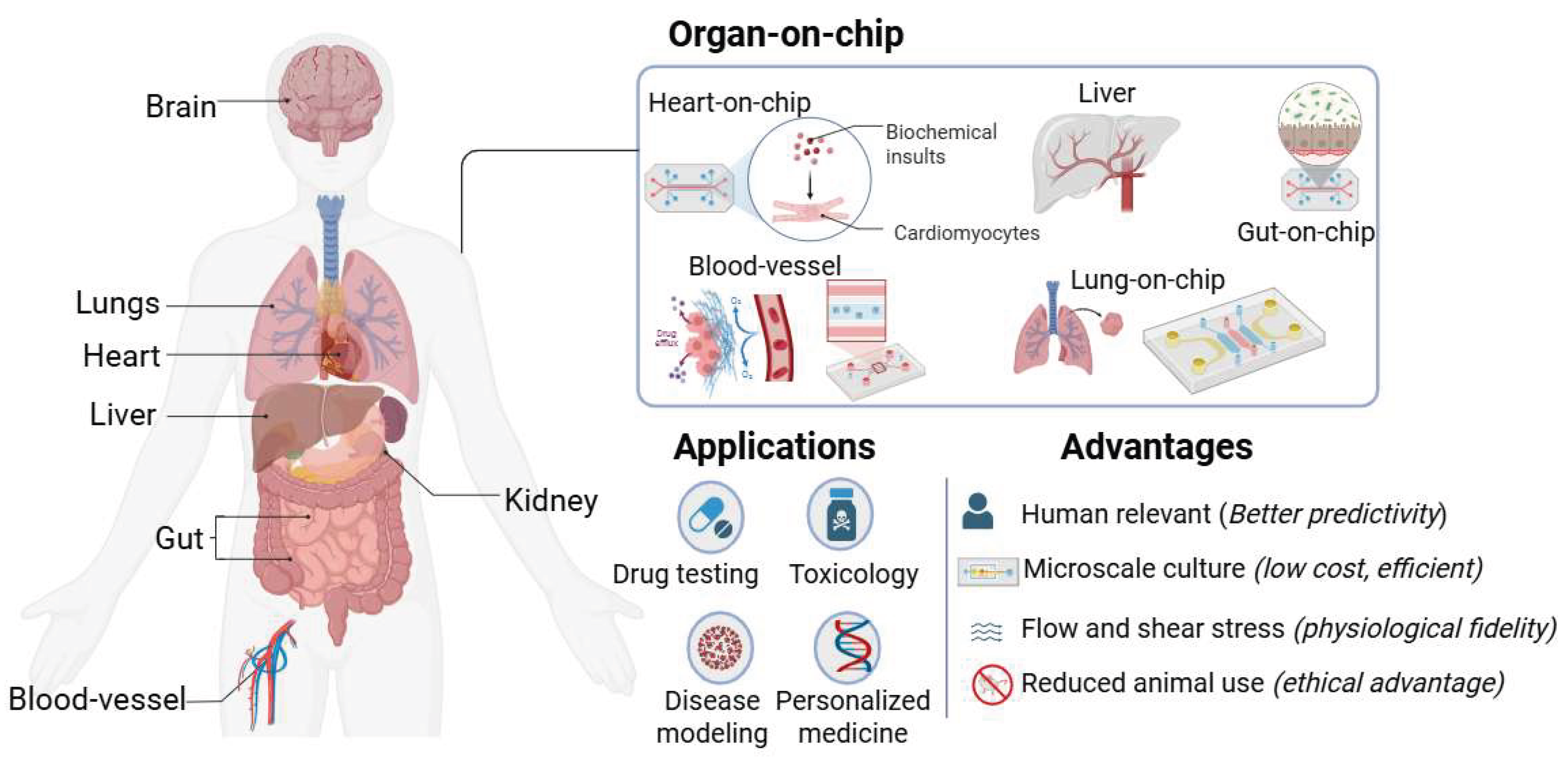 Preprints 198481 g001