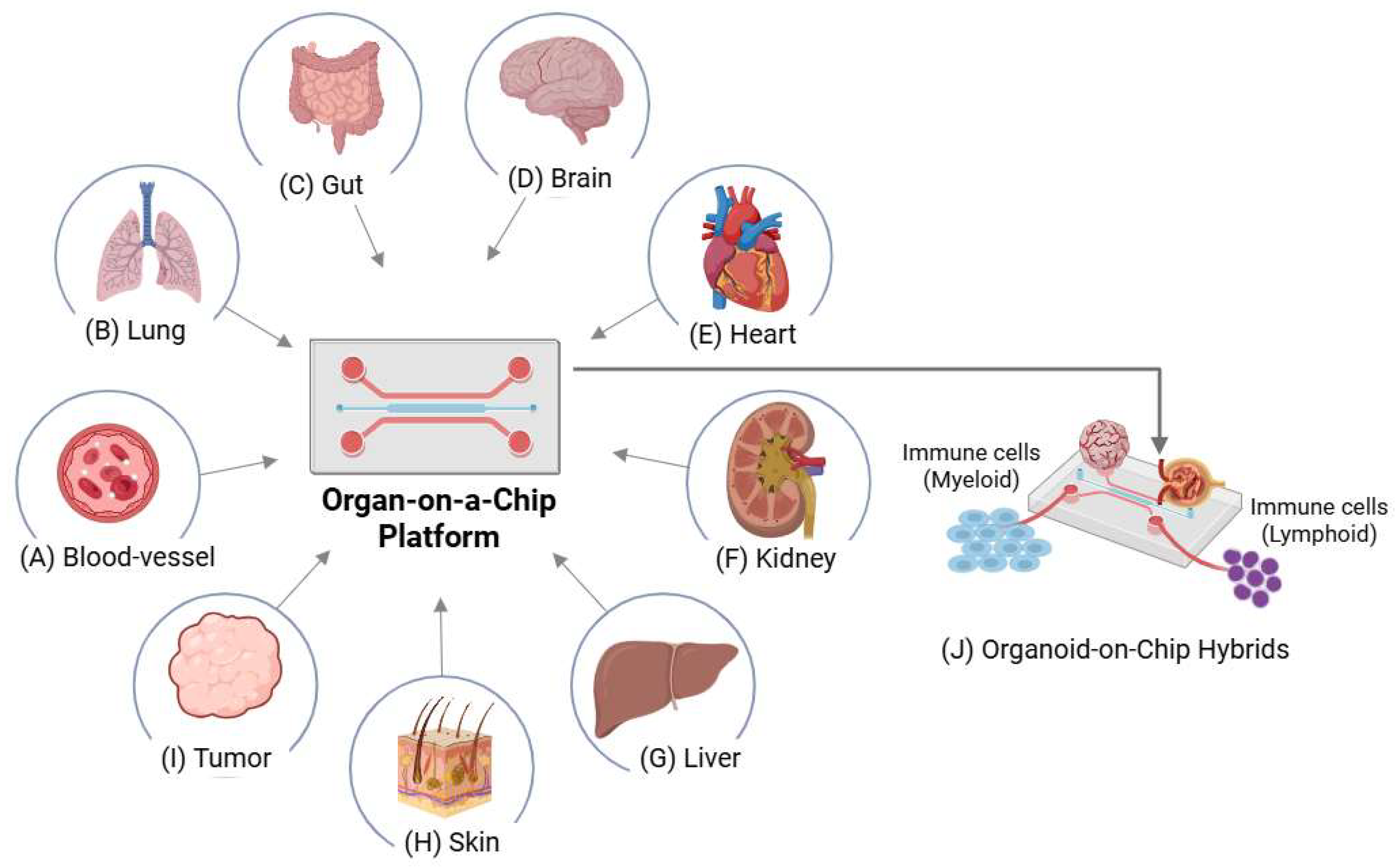 Preprints 198481 g003