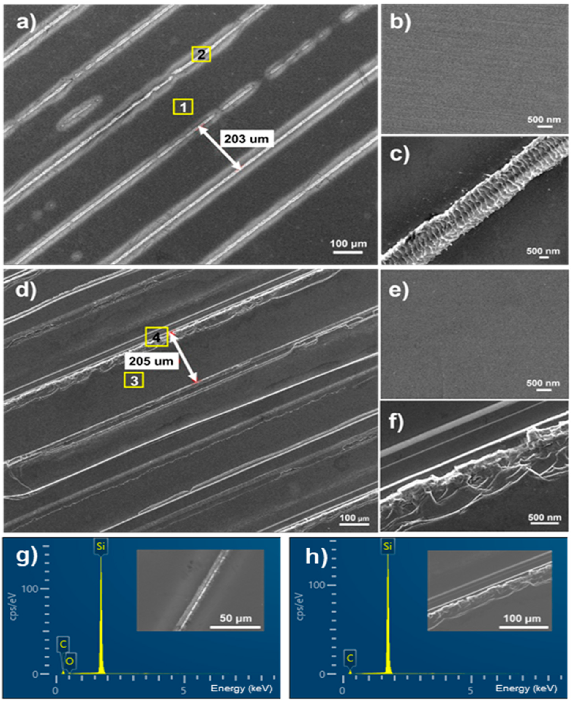 Preprints 186146 g002