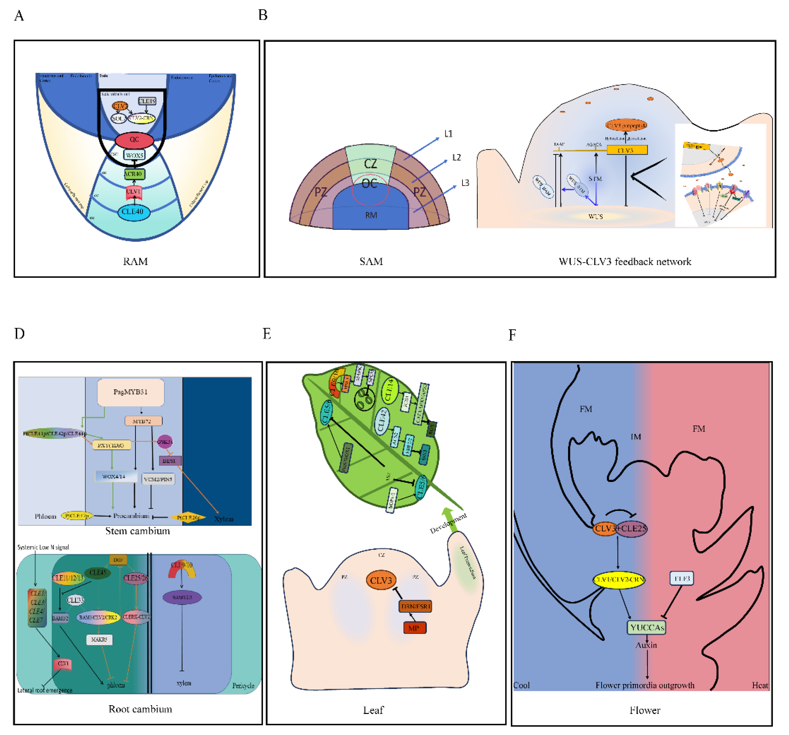 Preprints 153103 g001