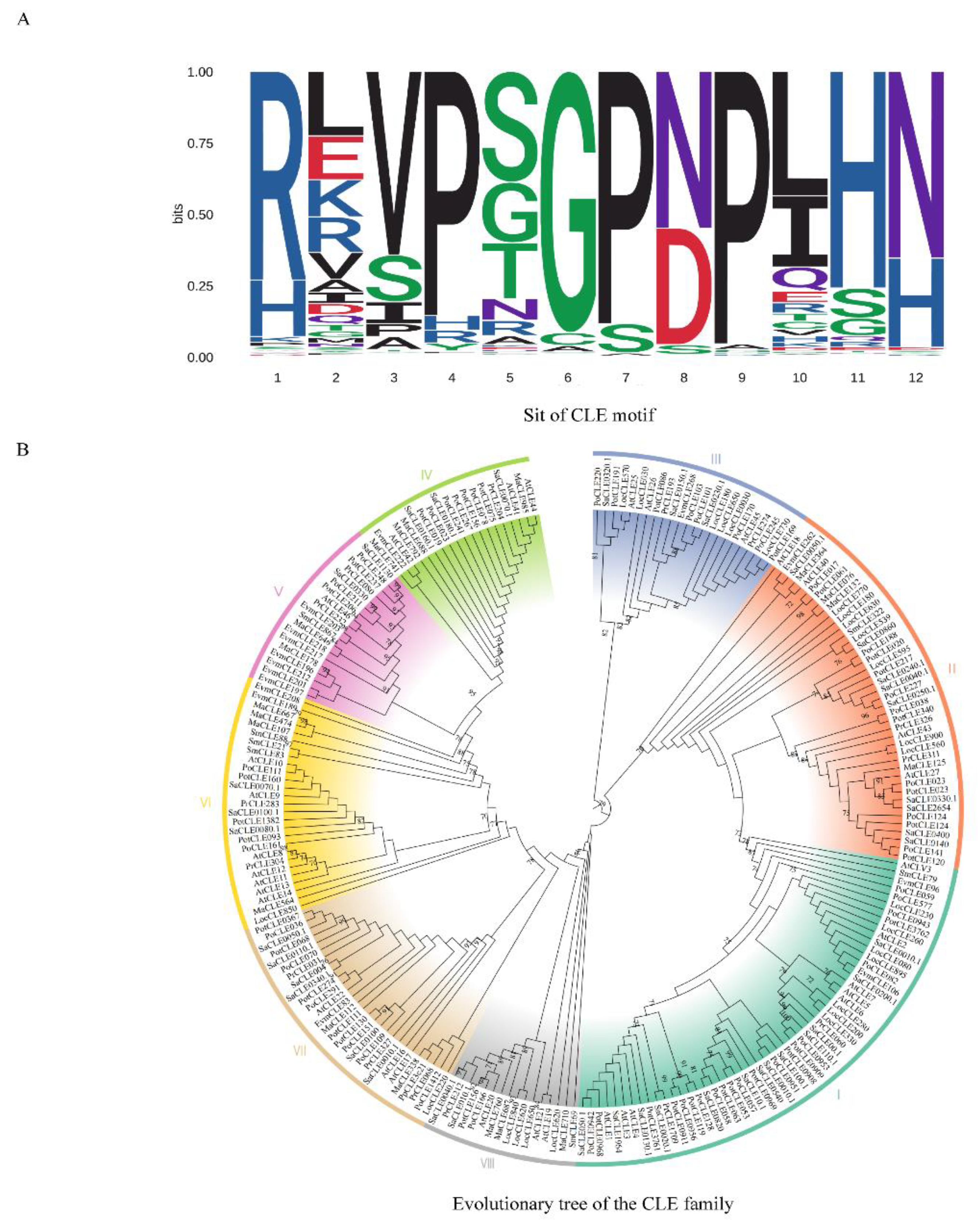 Preprints 153103 g002