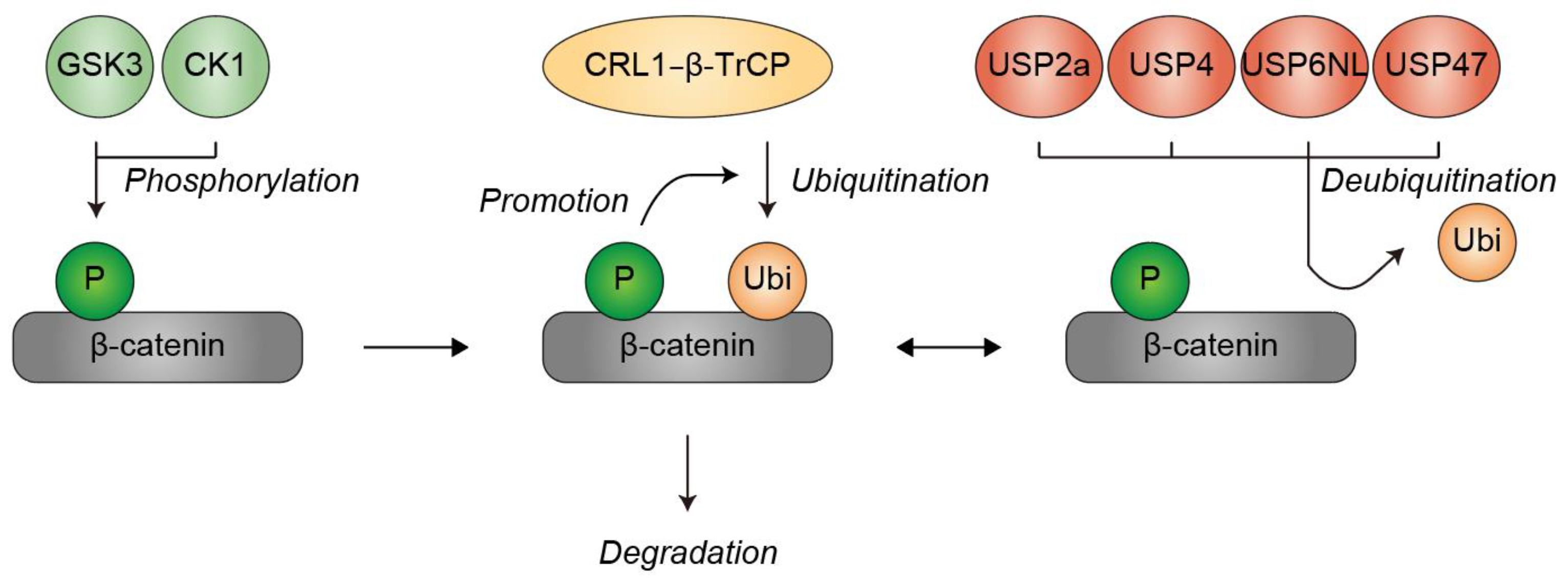 Preprints 203356 g002