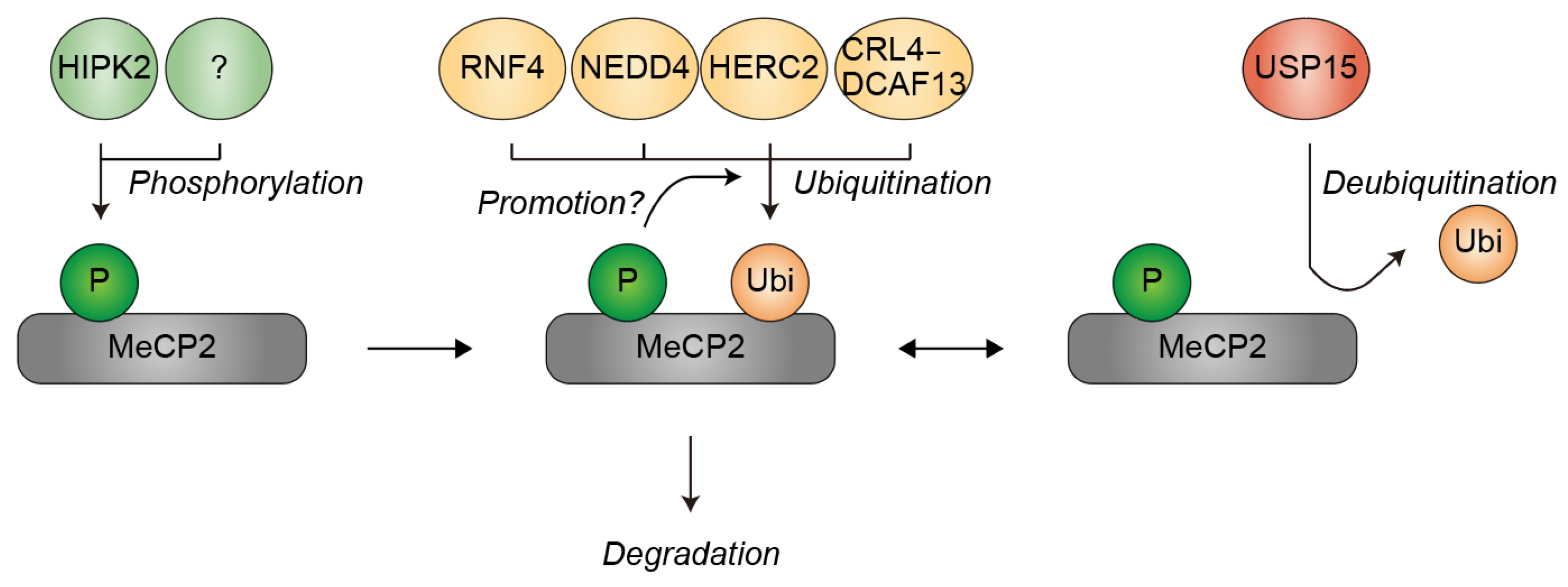 Preprints 203356 g003