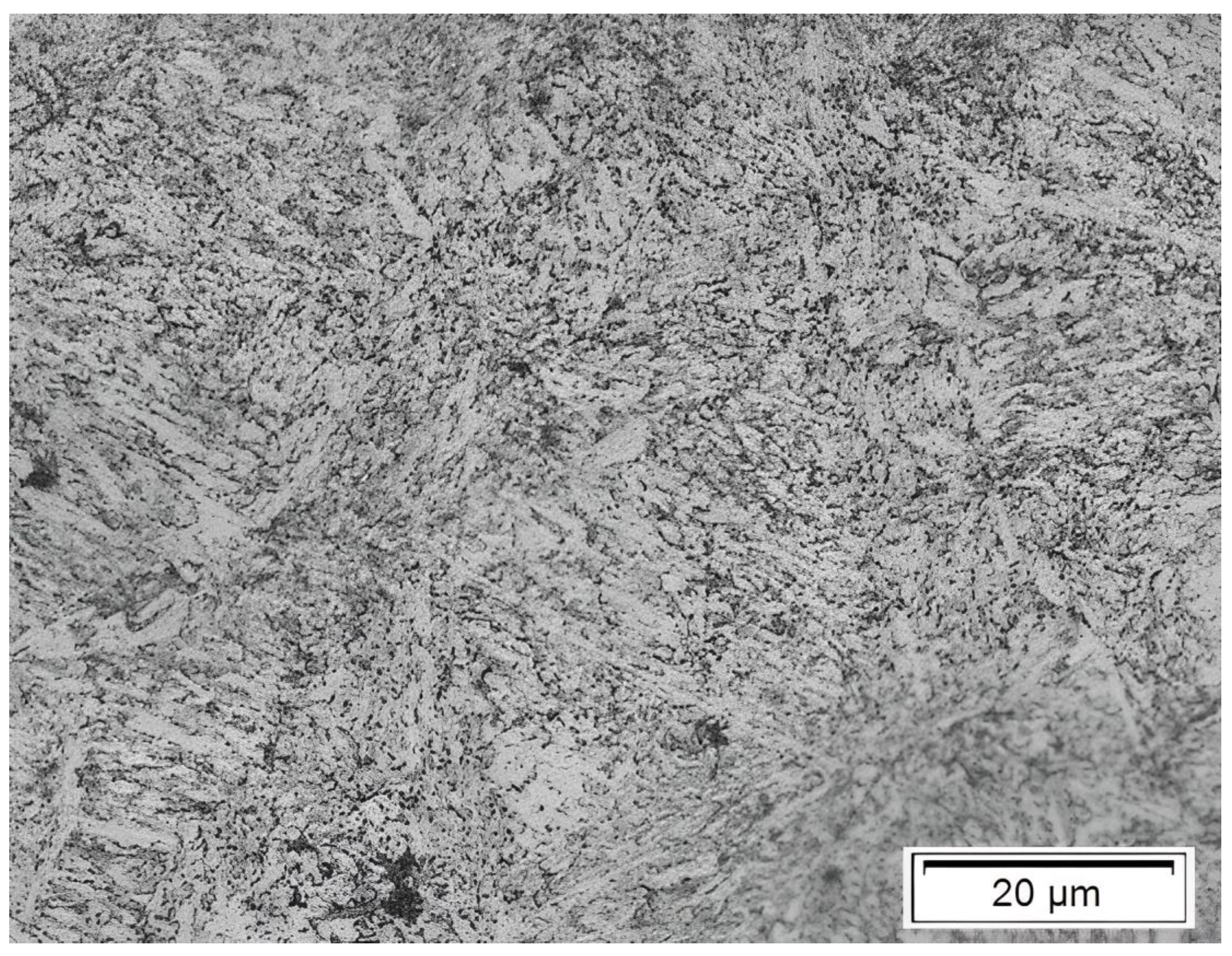 Preprints 146966 g002