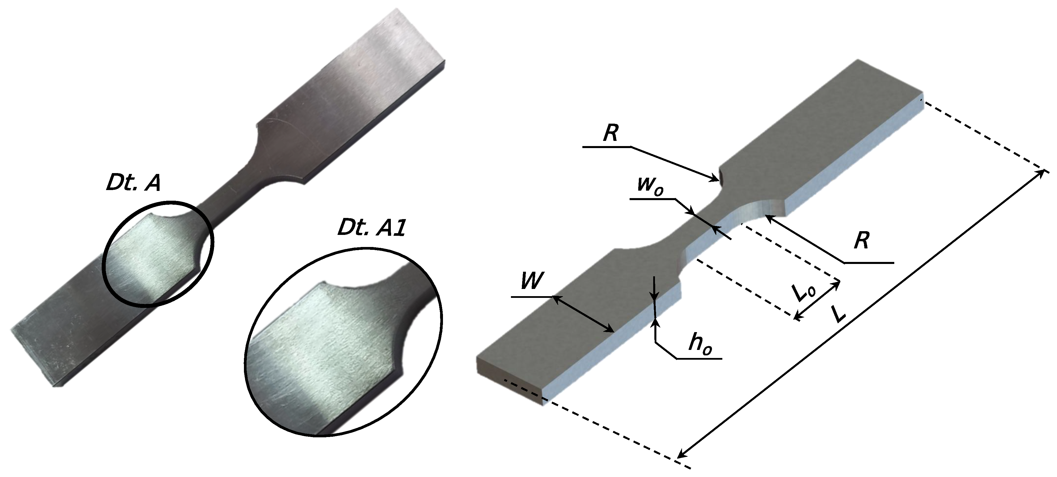 Preprints 146966 g003