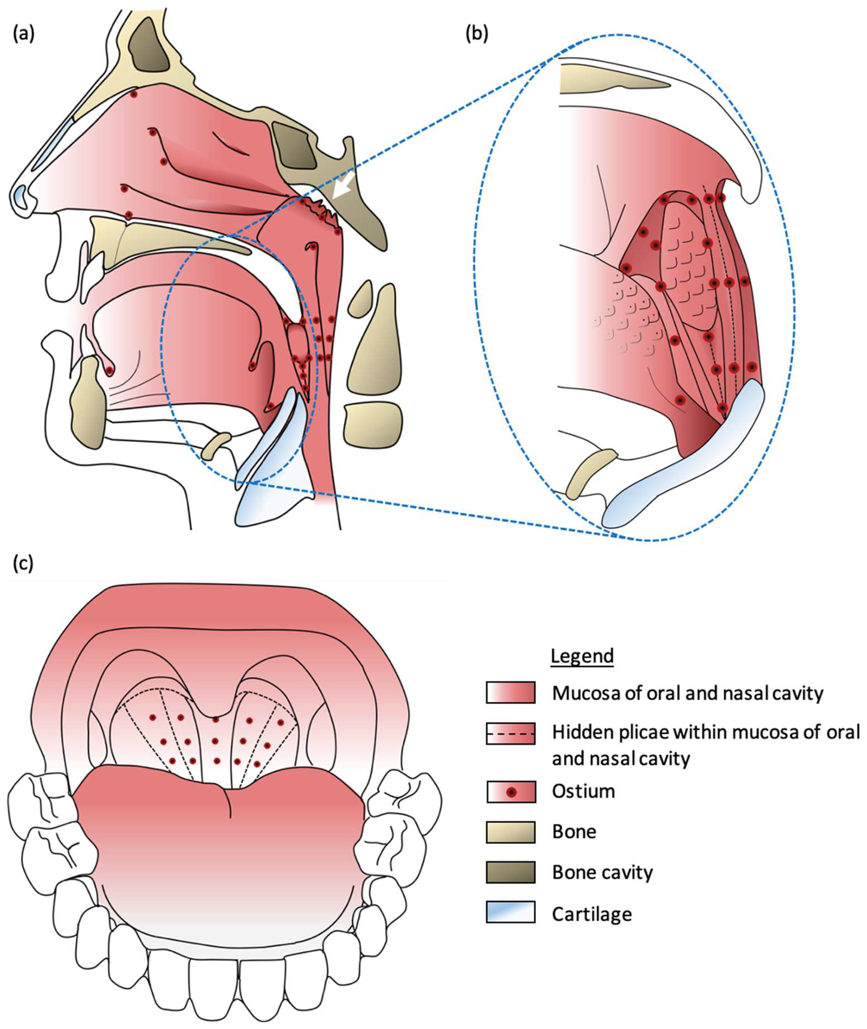 Preprints 143349 g001
