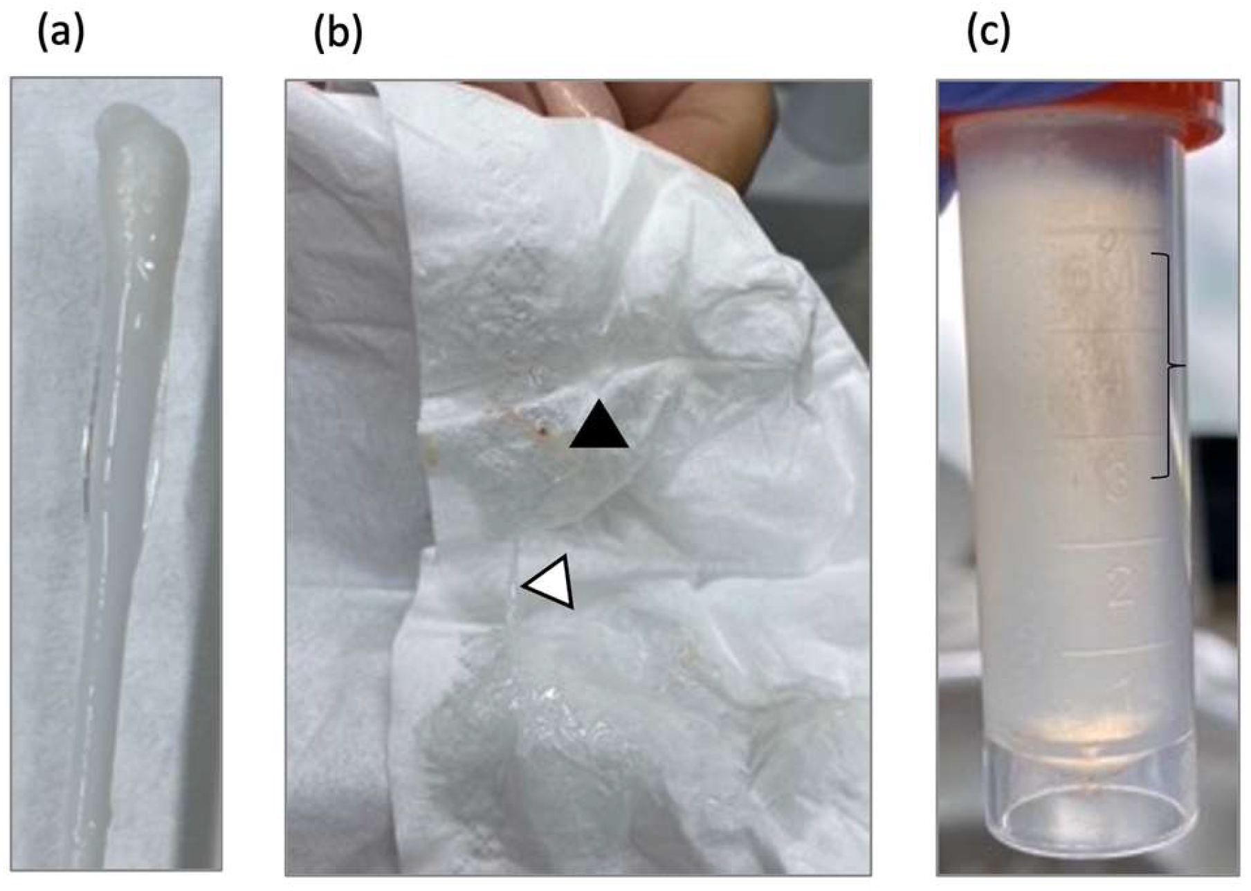 Preprints 143349 g003