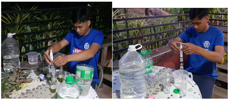 Preprints 116168 i005