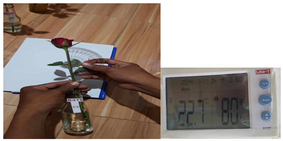 Preprints 116168 i006