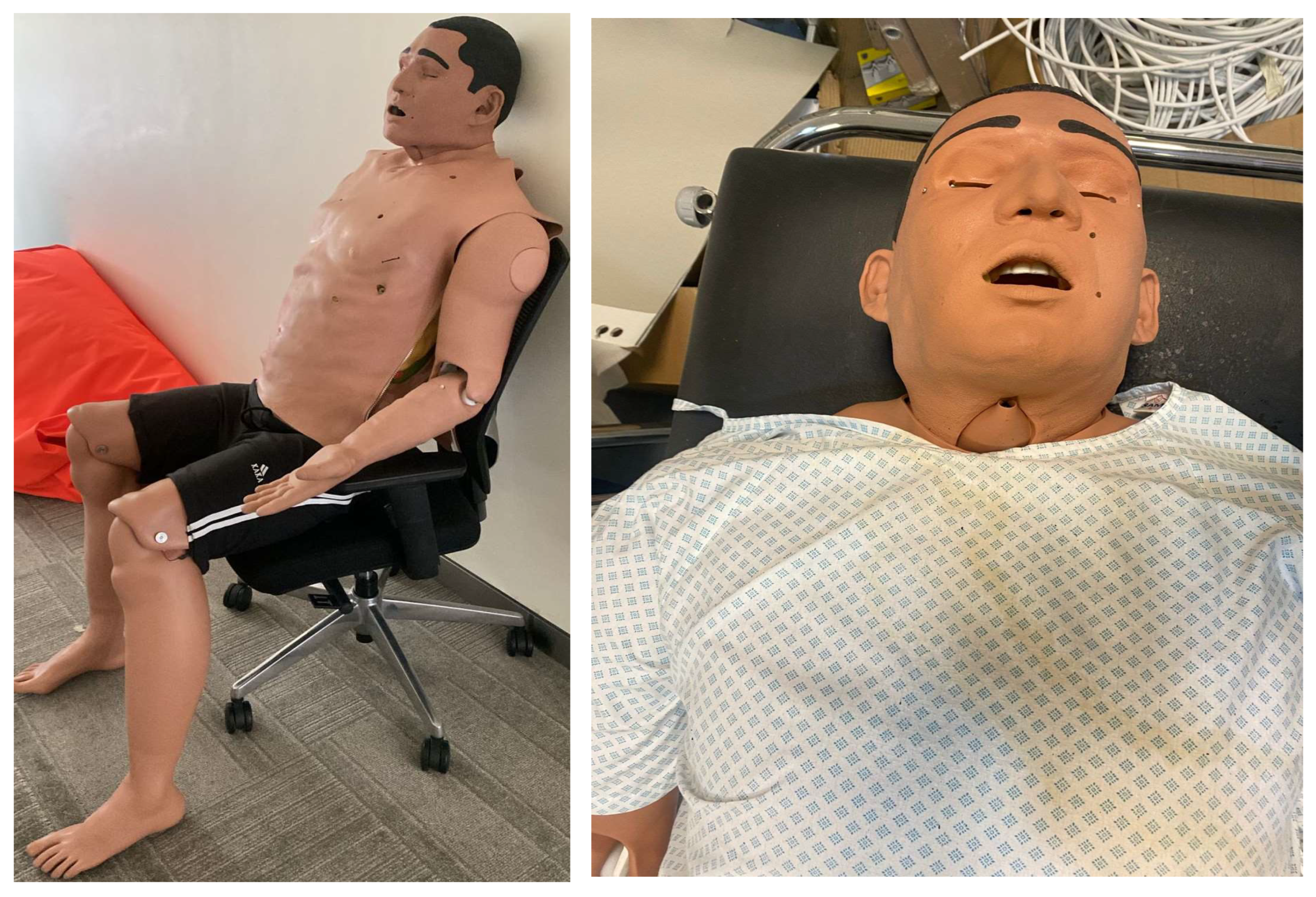 Preprints 153486 g001