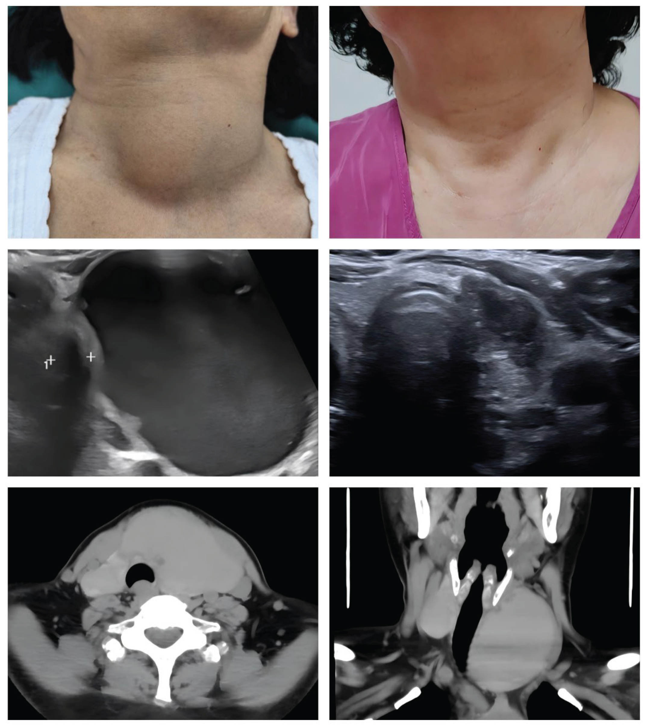 Preprints 184313 g001