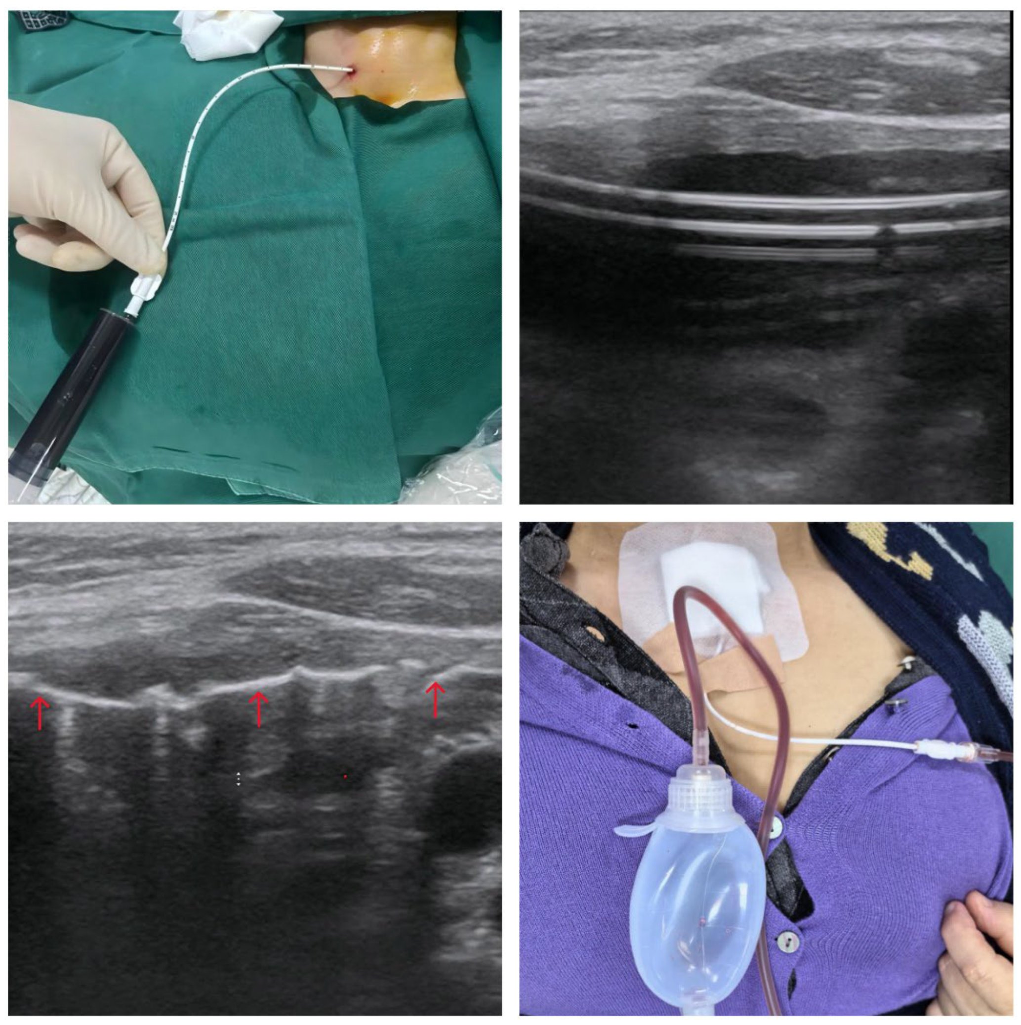 Preprints 184313 g002