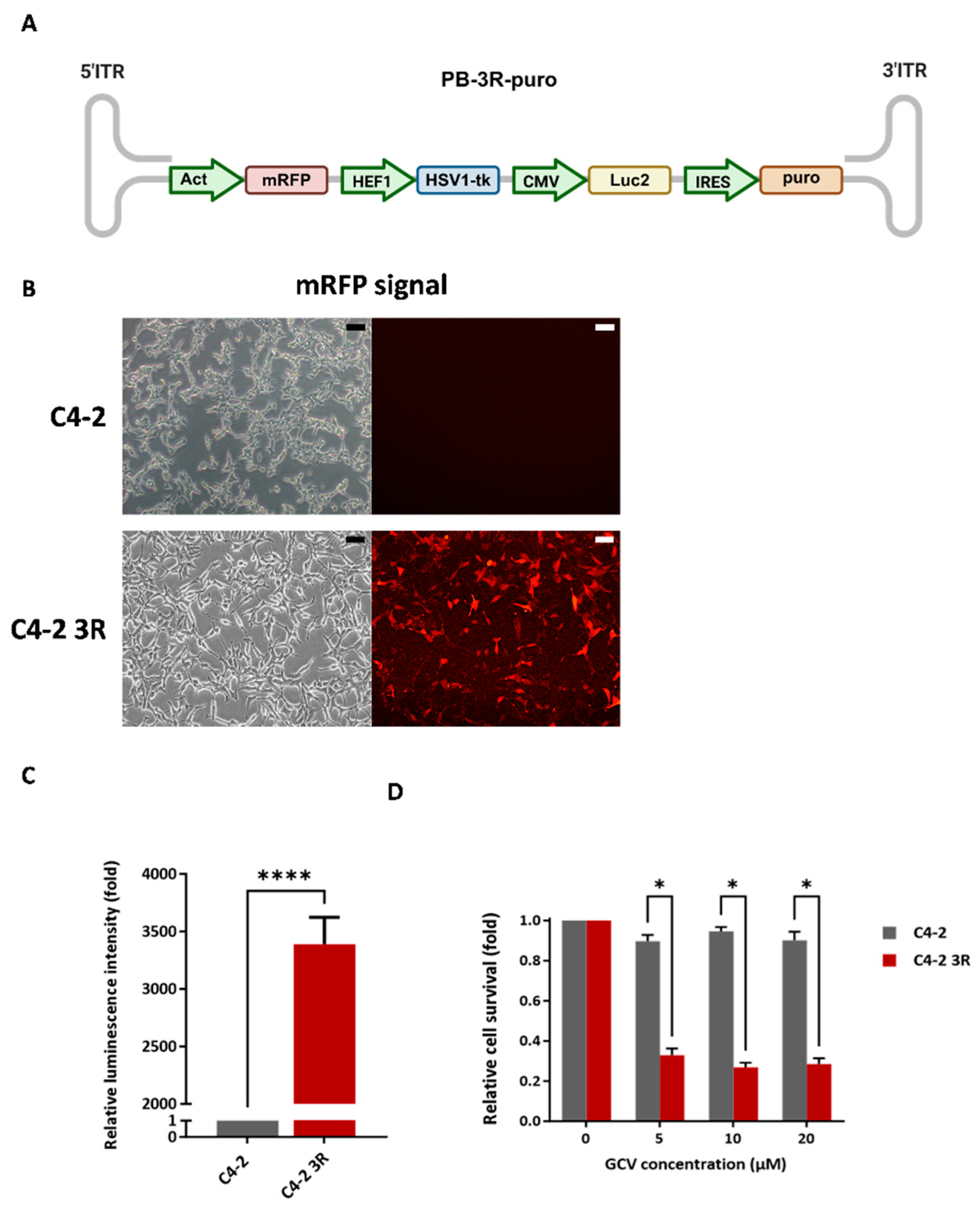 Preprints 205910 g001 Preprints 205910 g001