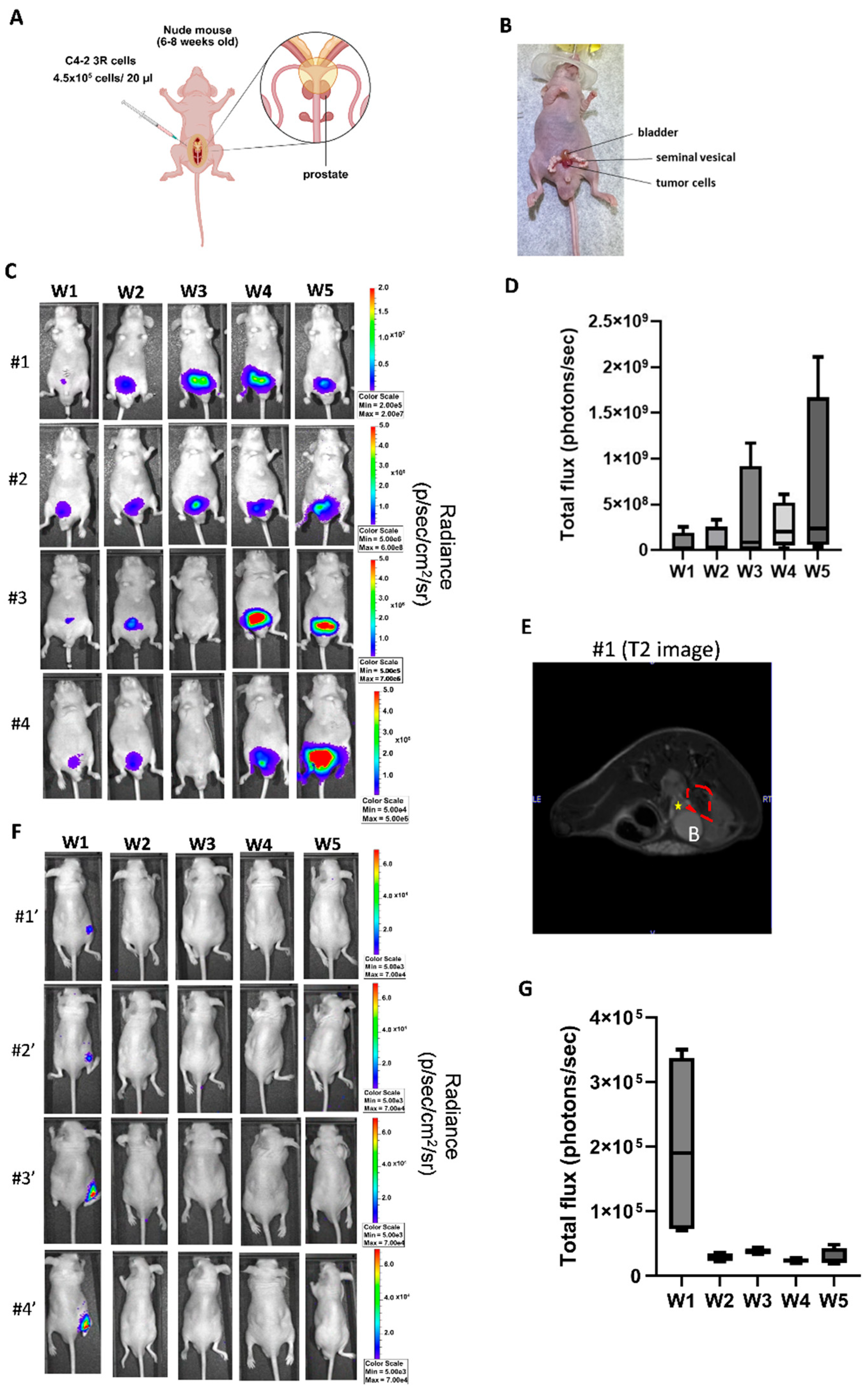 Preprints 205910 g002 Preprints 205910 g002