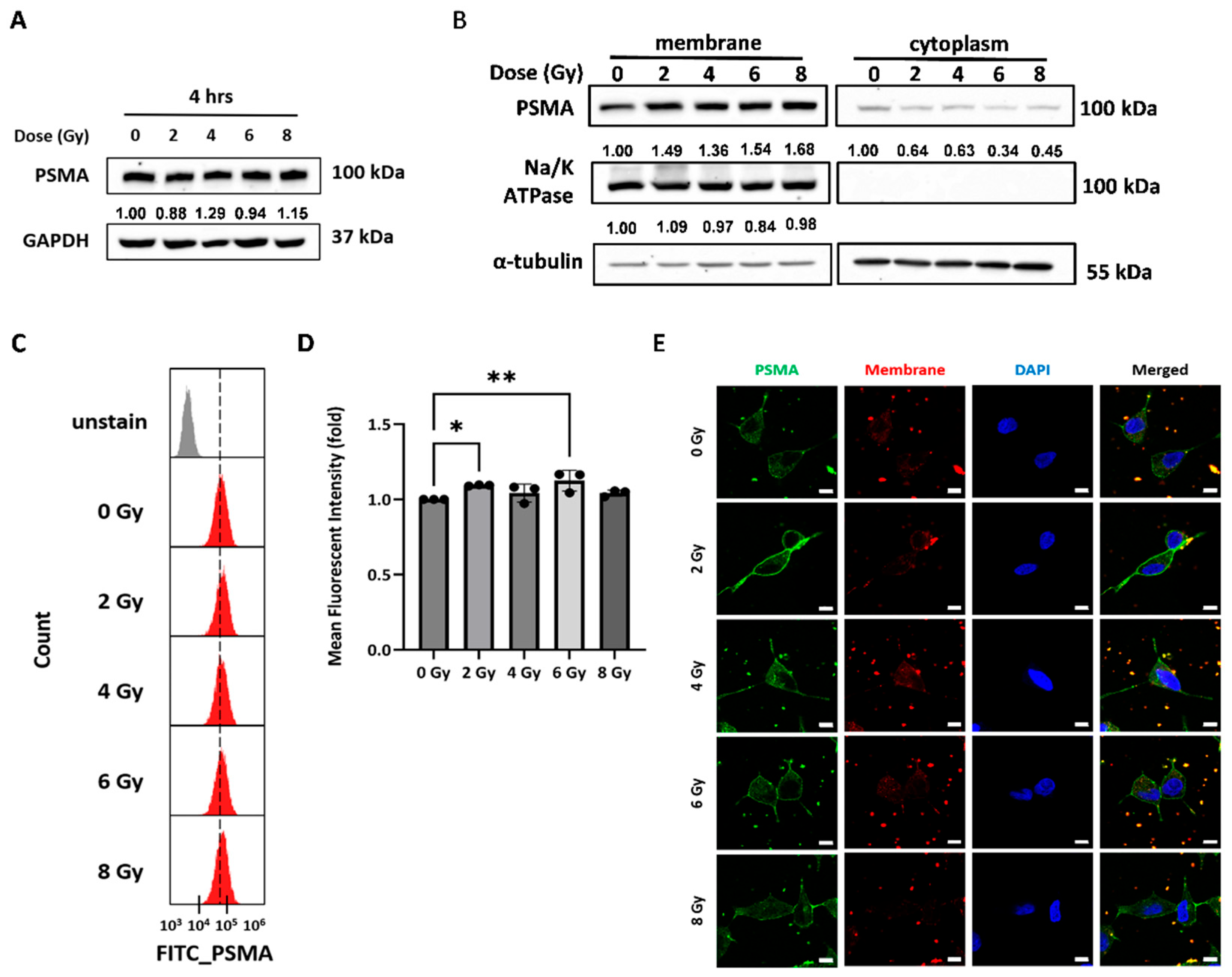 Preprints 205910 g003 Preprints 205910 g003