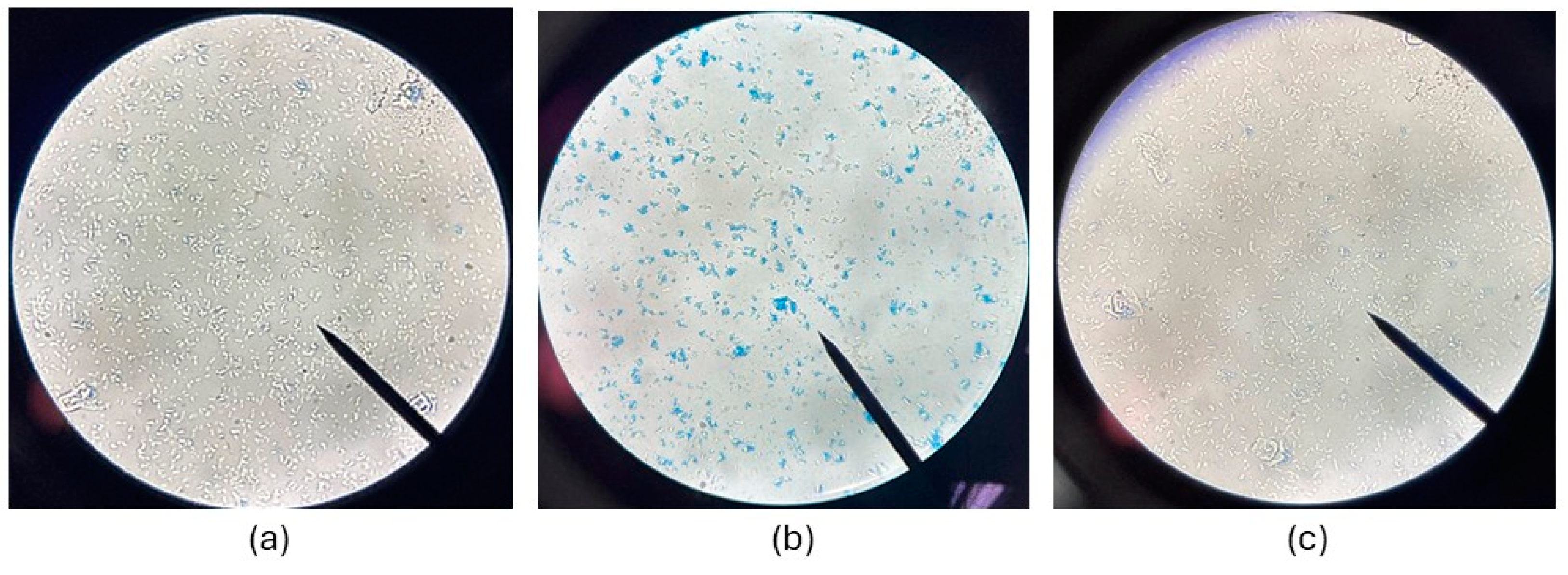 Preprints 152647 g005