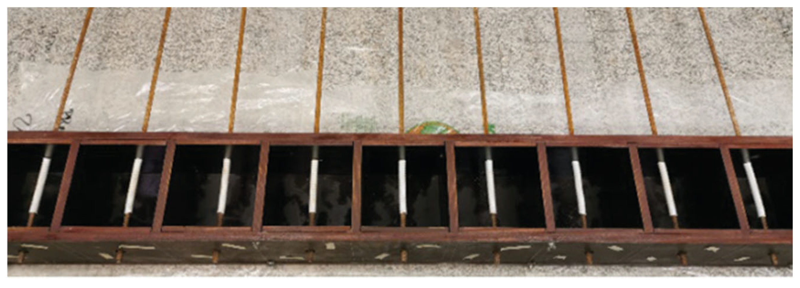 Preprints 166388 g002