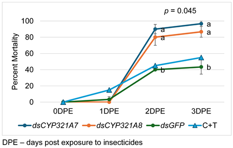 Preprints 118807 i001