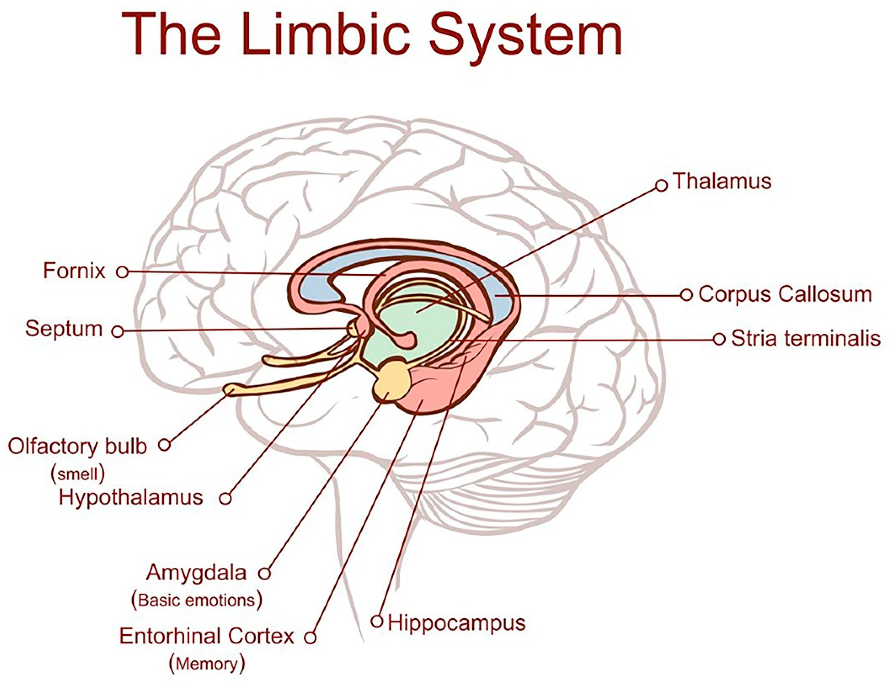 Preprints 164849 g001