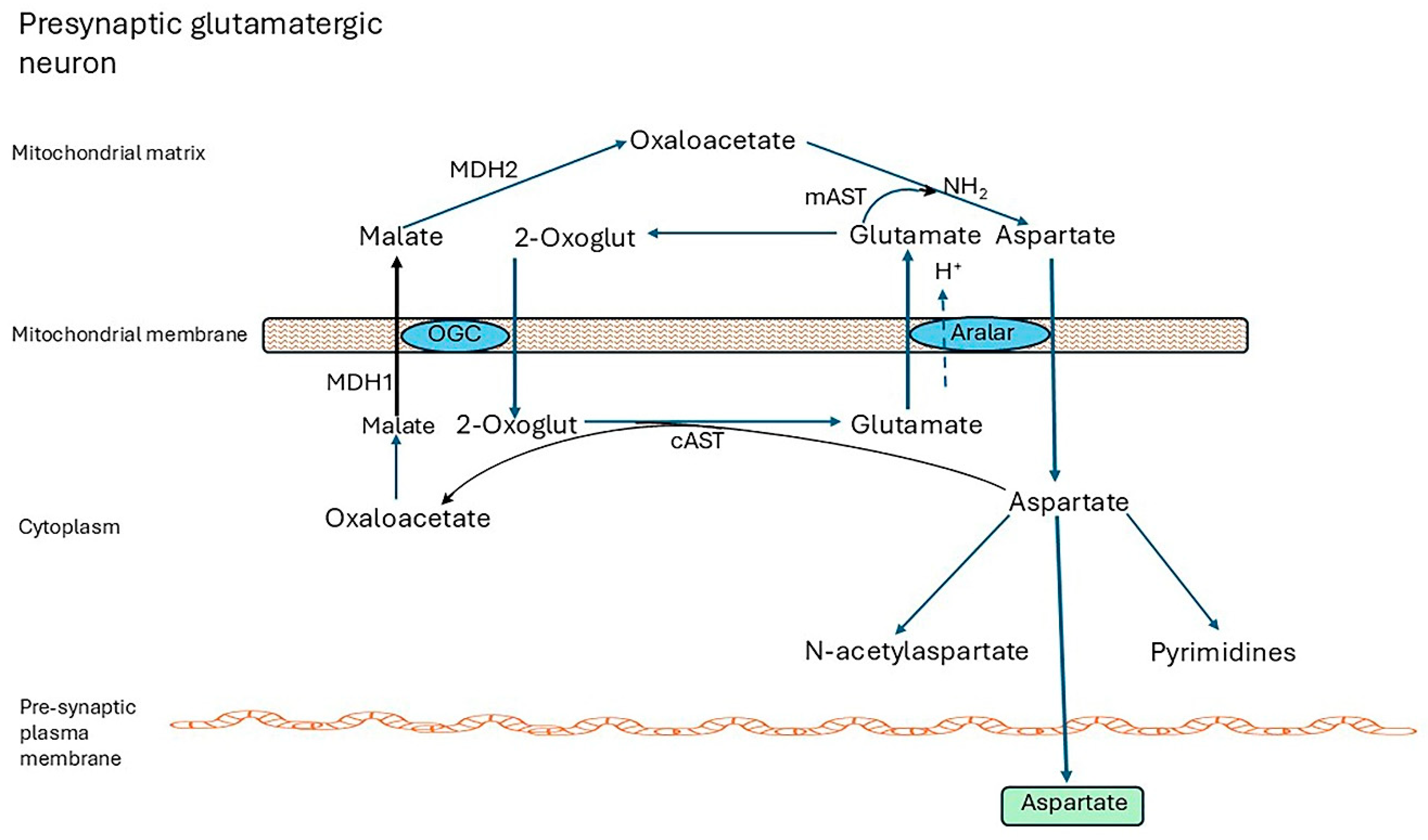 Preprints 164849 g002