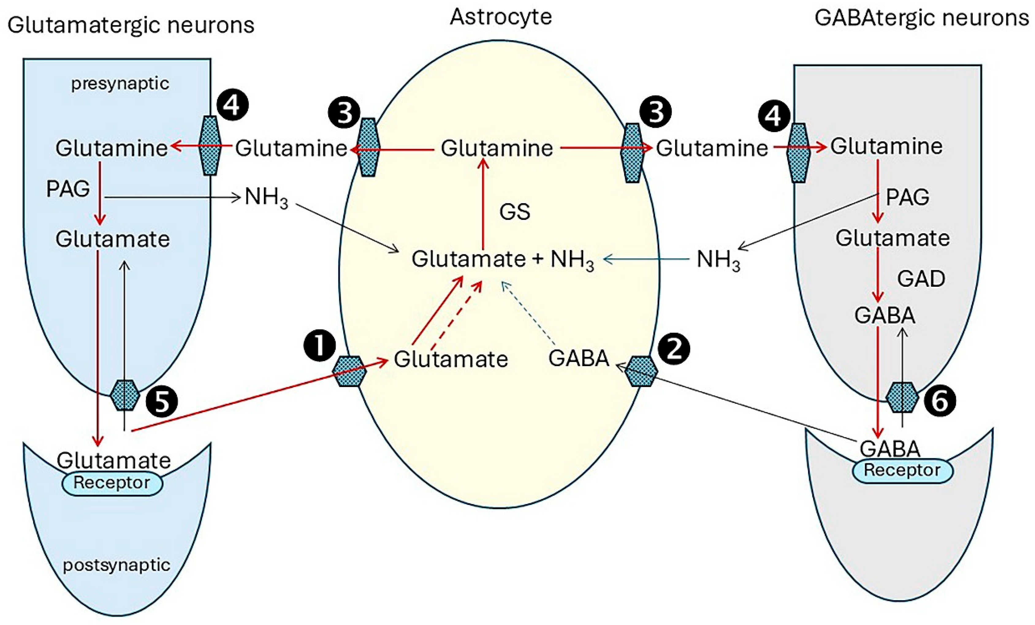 Preprints 164849 g003