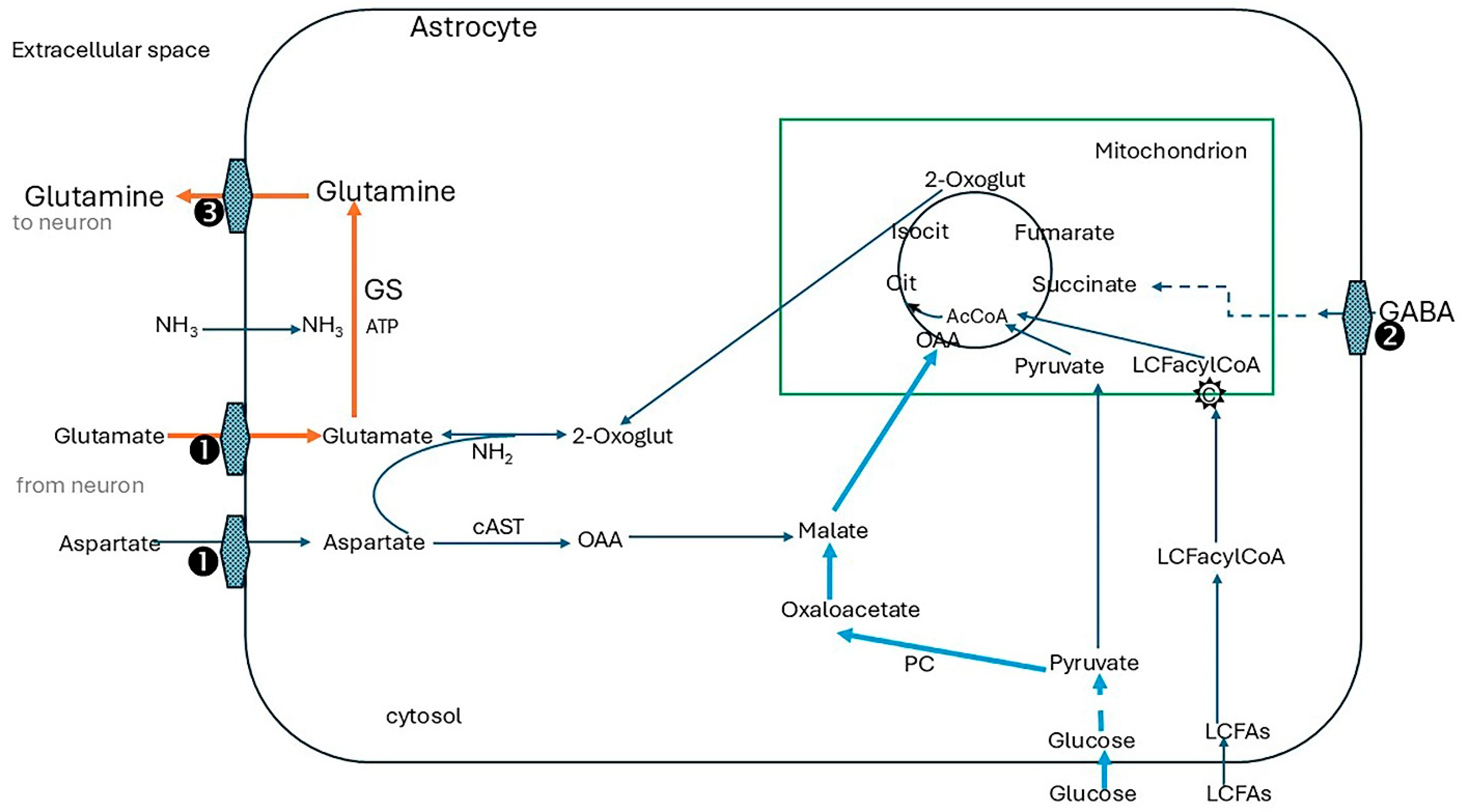 Preprints 164849 g004