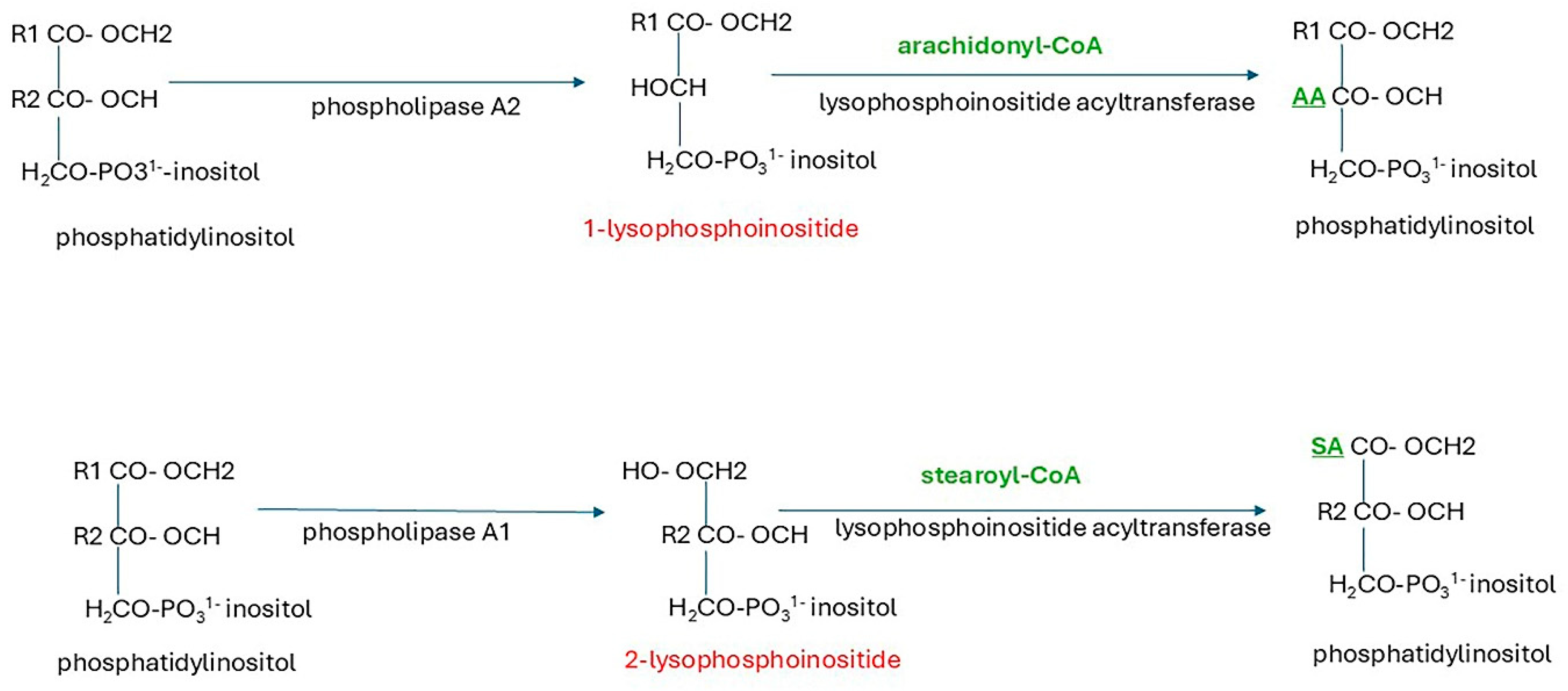 Preprints 164849 g006