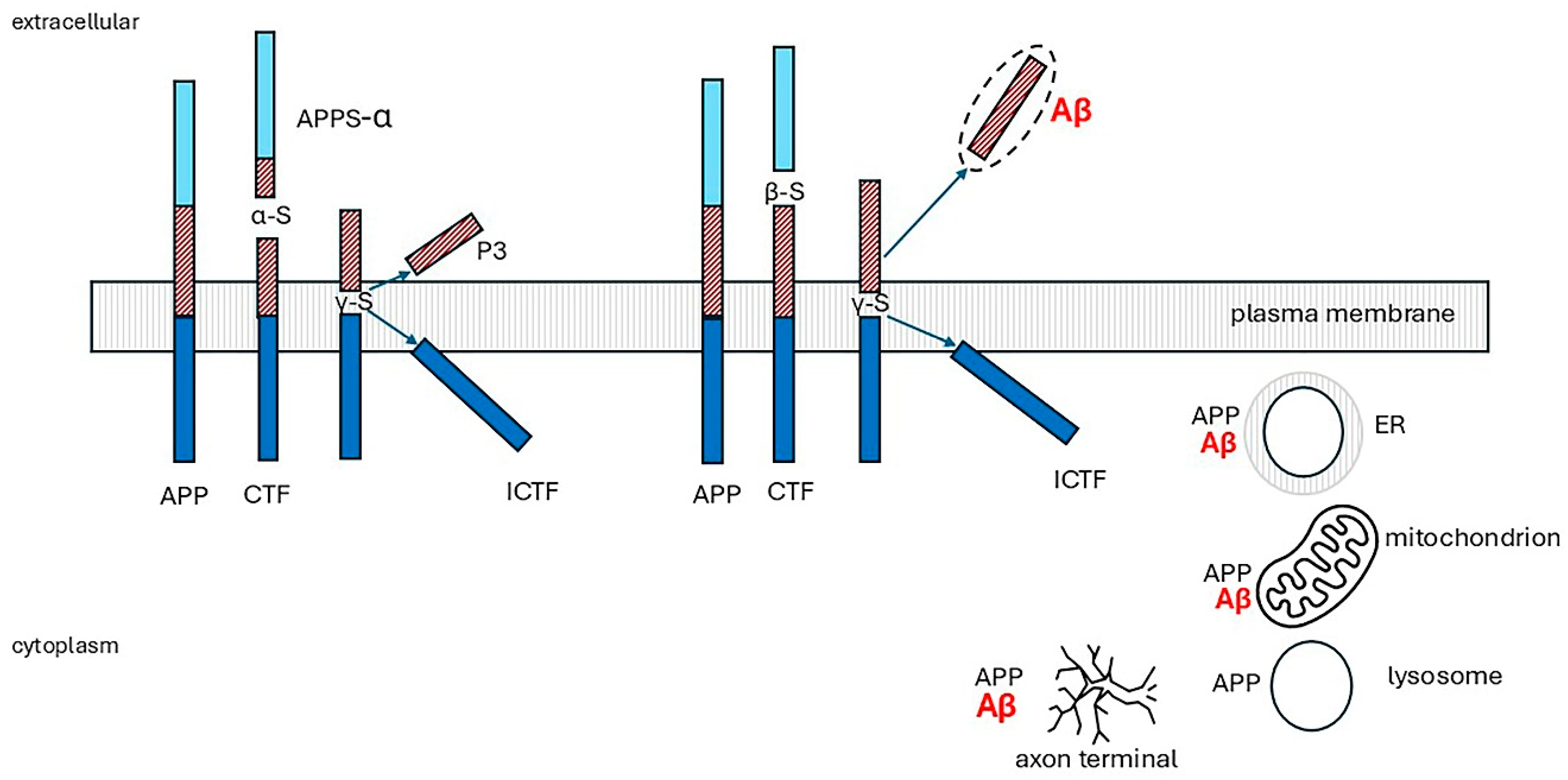 Preprints 164849 g007